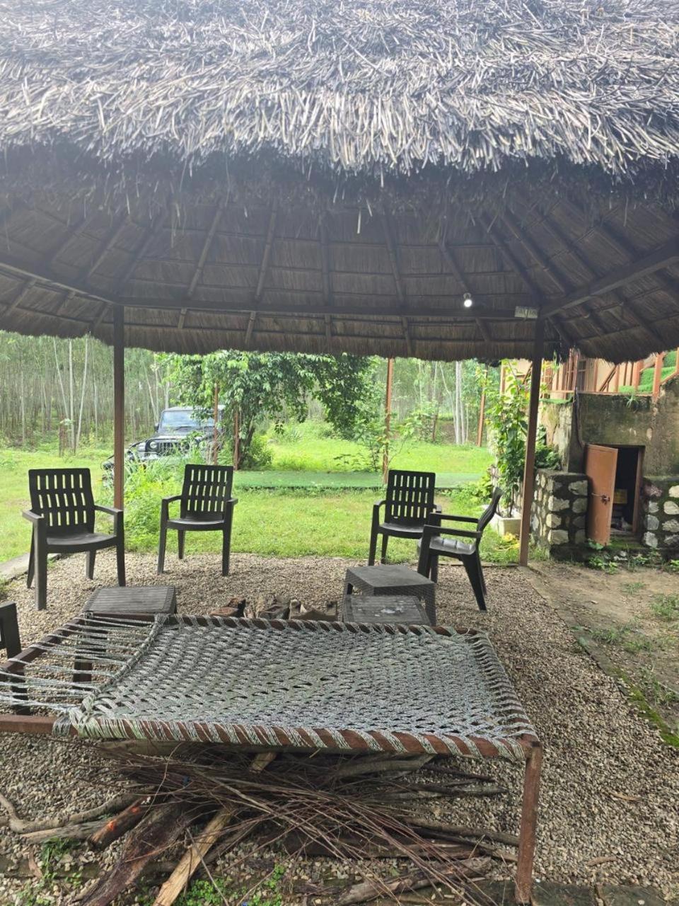 Rainforest Retreat