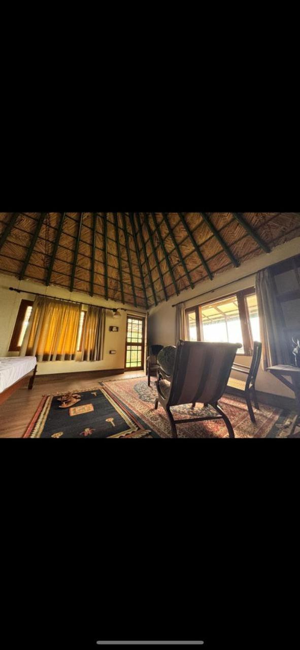 Rainforest Retreat