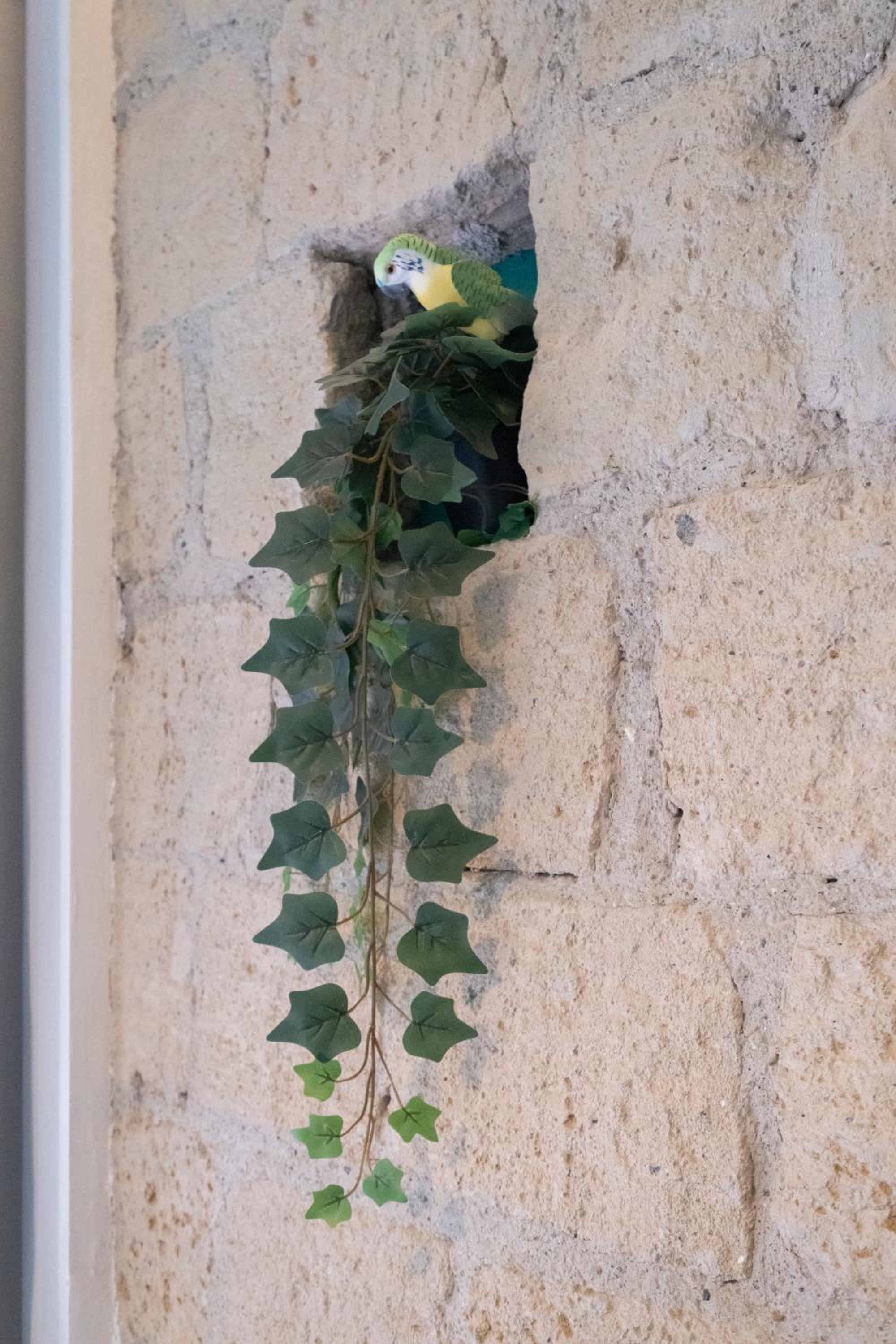 La casa di LùAle e Zoe