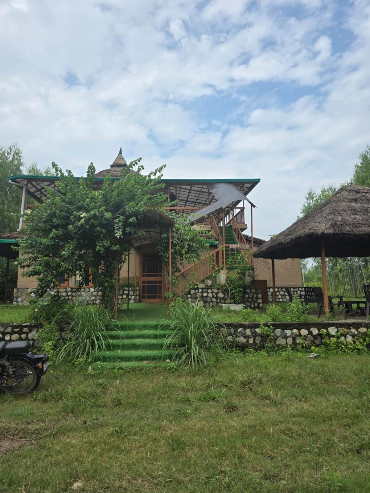 Rainforest Retreat