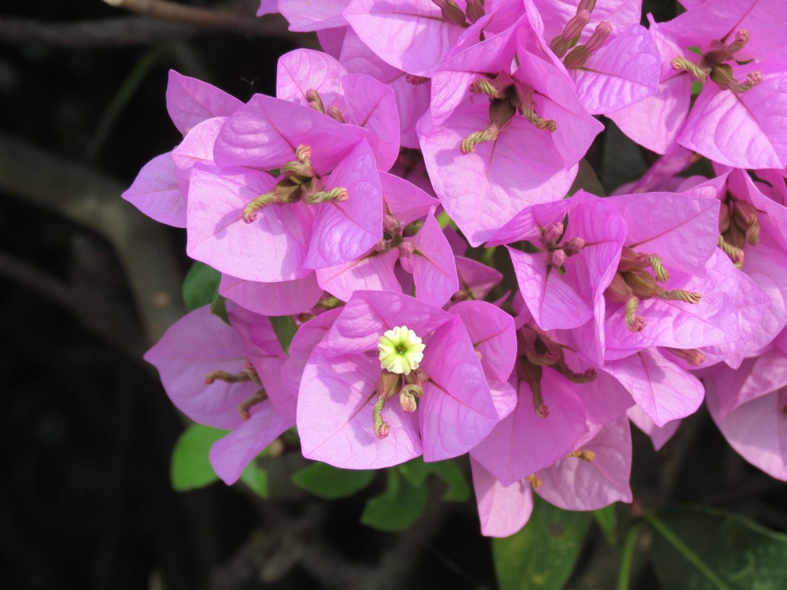 Photo 43
