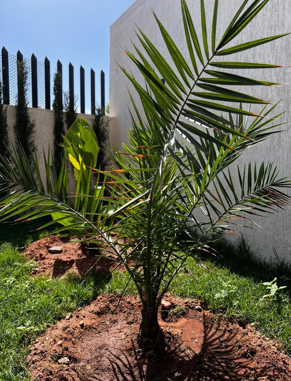 Photo 28