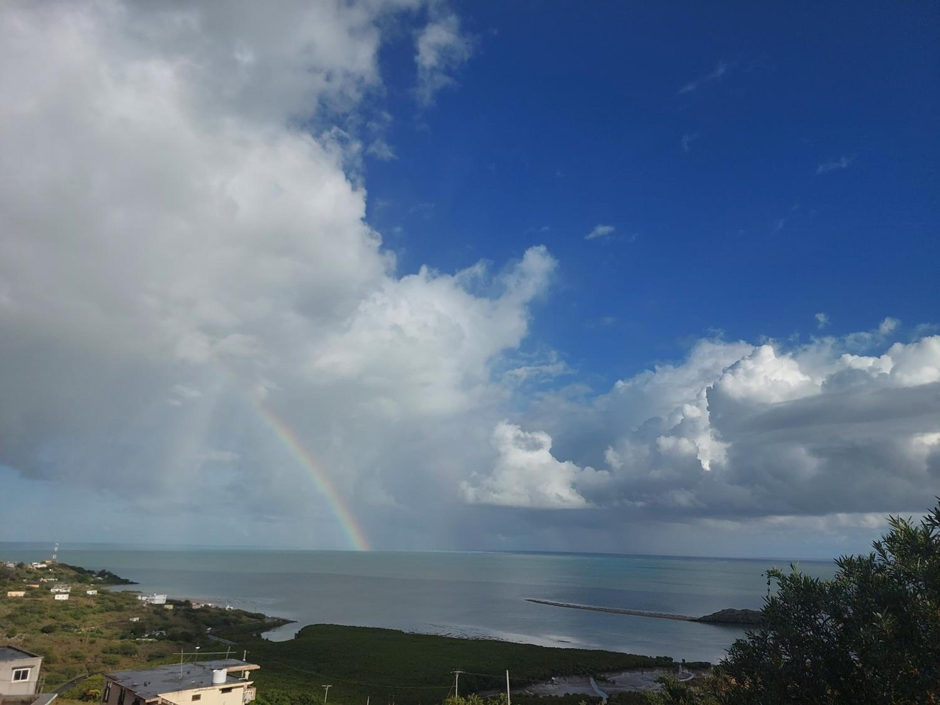 Oceanview Studio Allée Tamarin