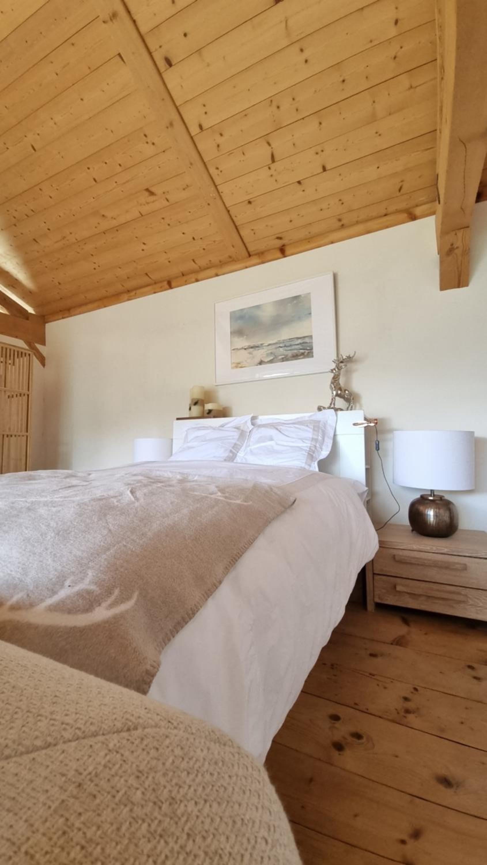 Charming 6 bed chalet in 4 Valleés
