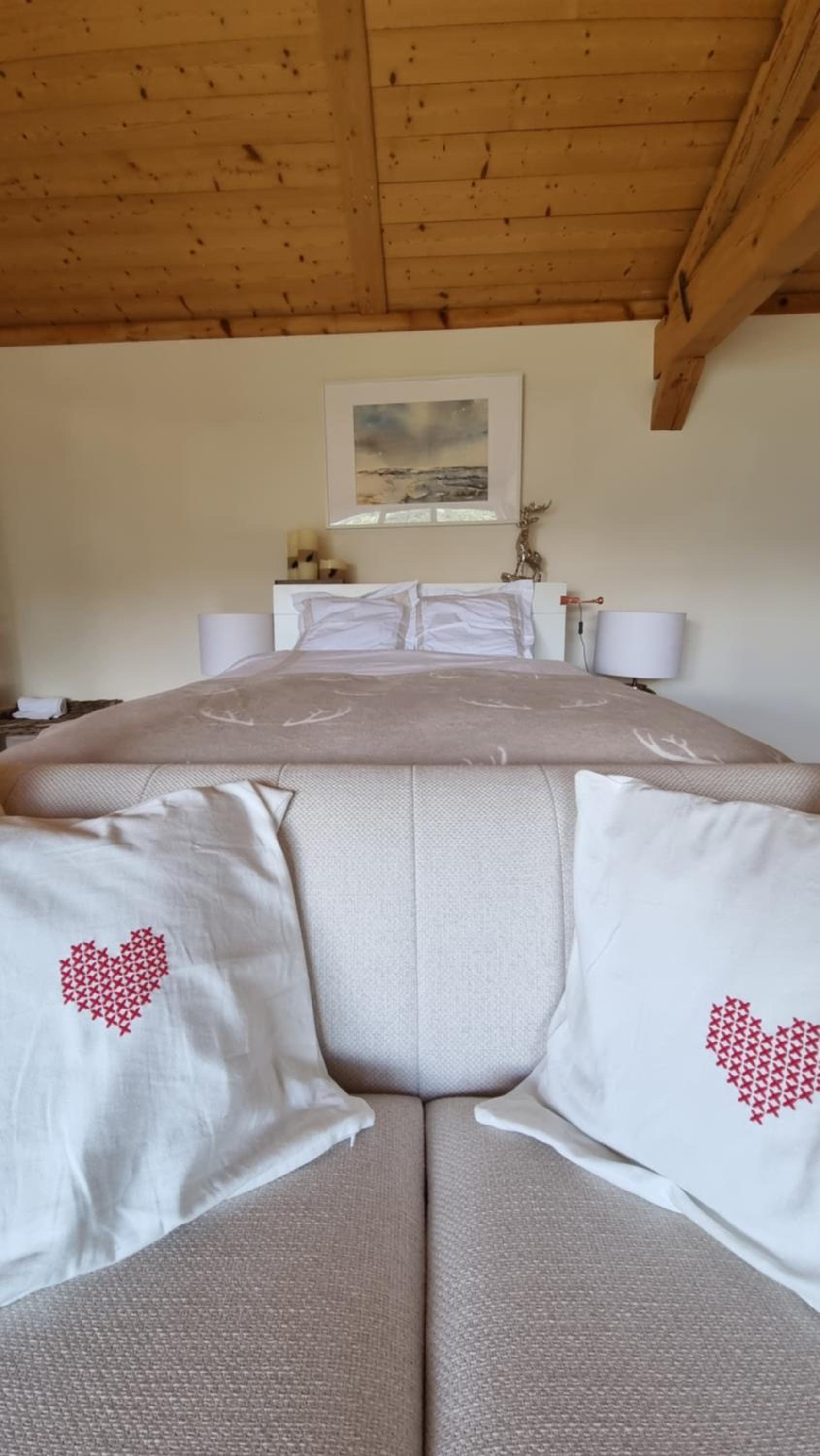 Charming 6 bed chalet in 4 Valleés