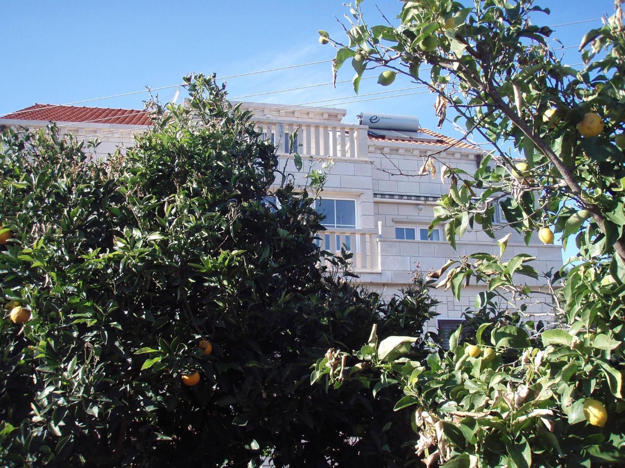 Photo 45