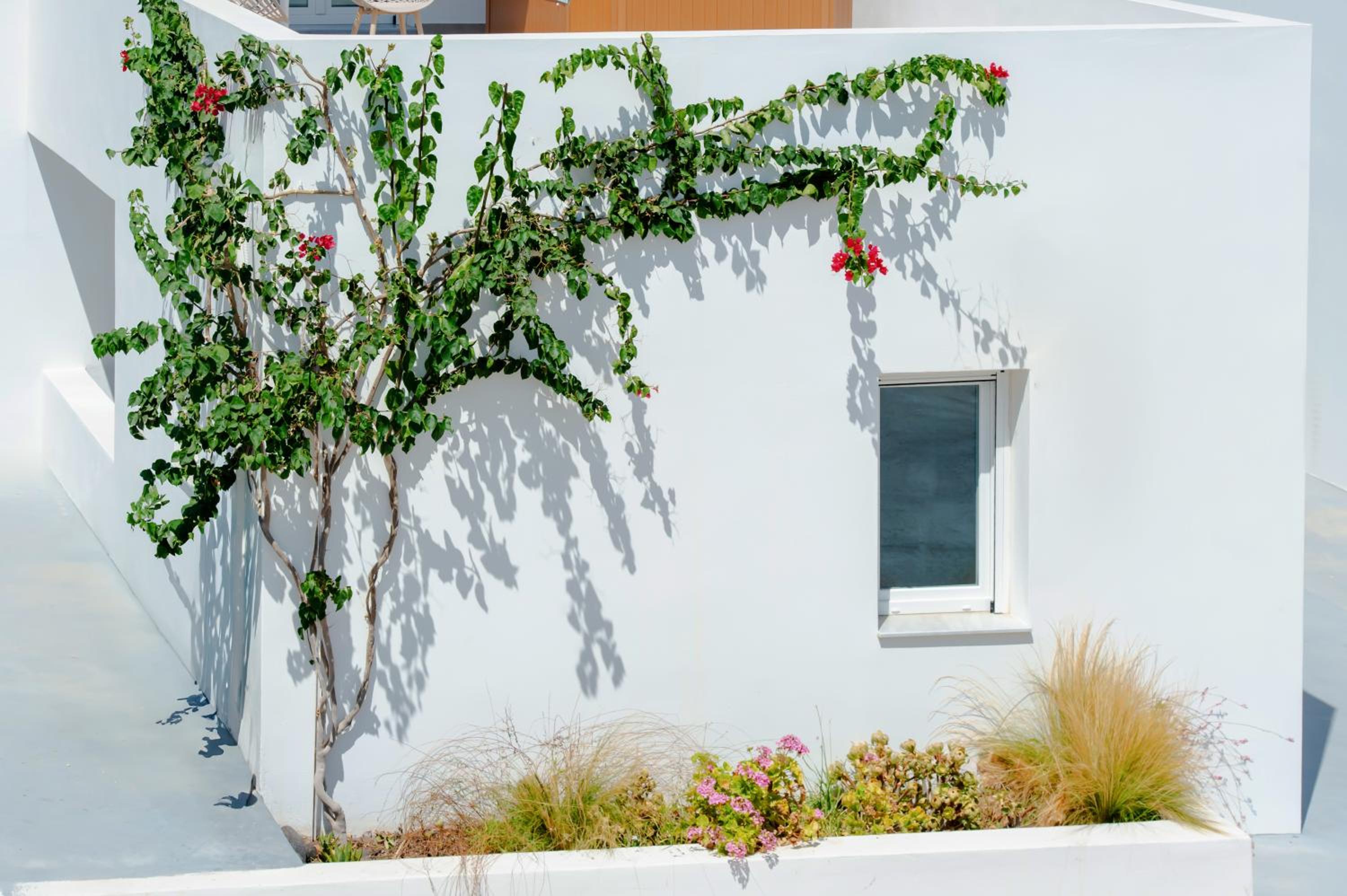 Eutixia Houses