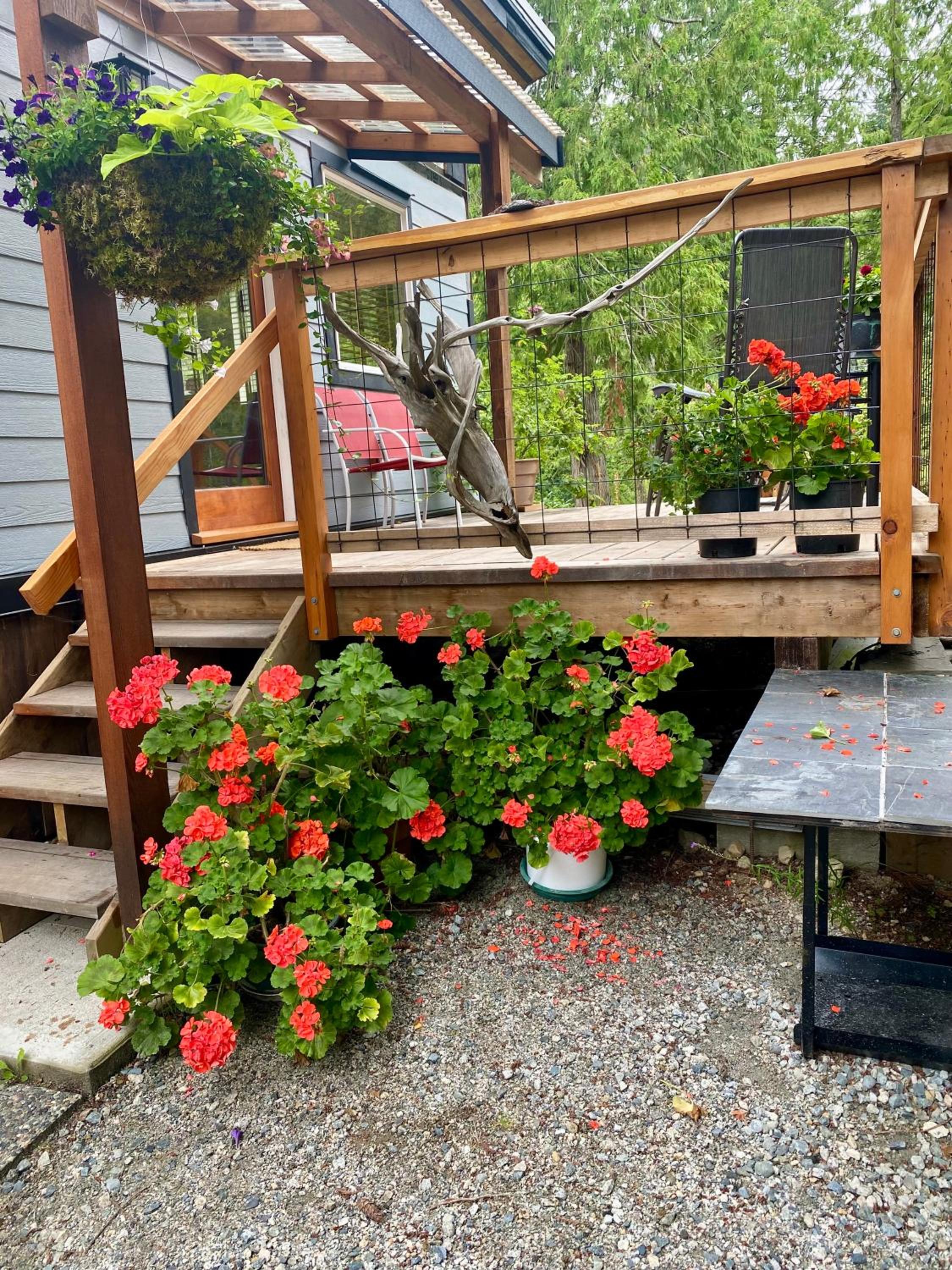 Little Cabin in Middlepoint