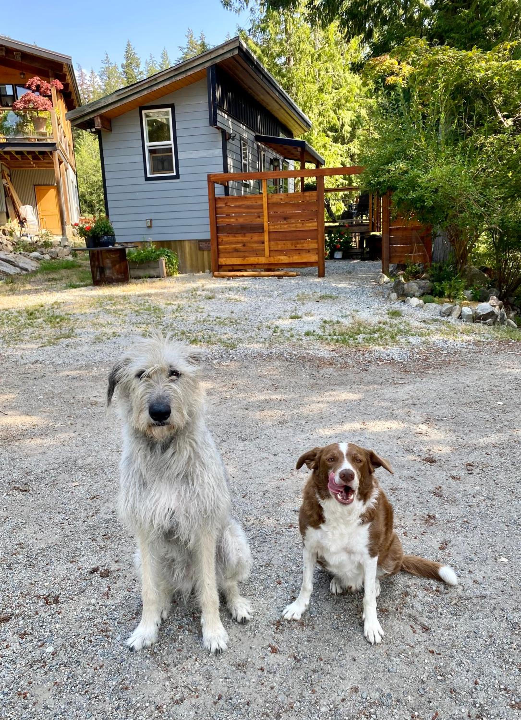 Little Cabin in Middlepoint