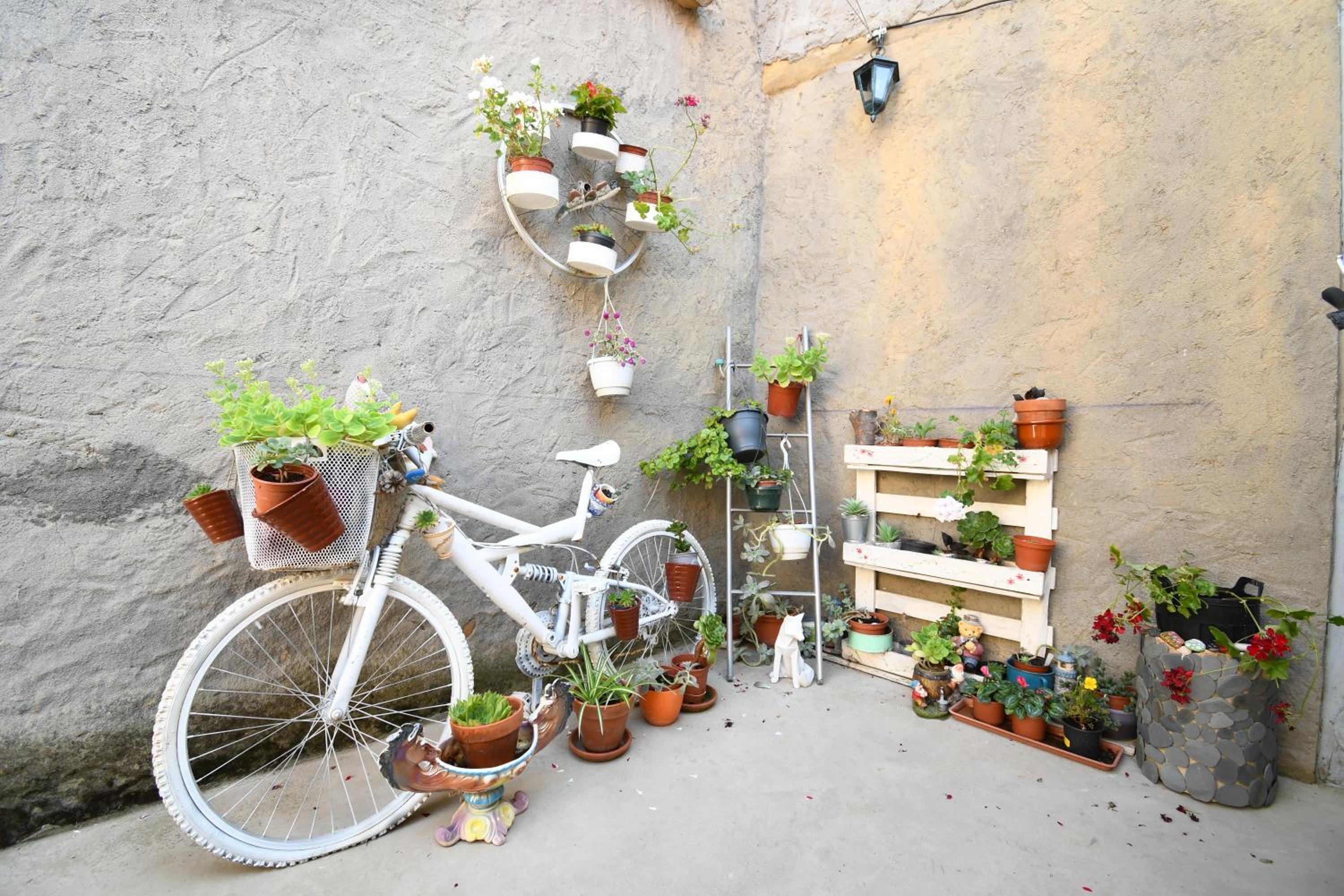 Casa Pita