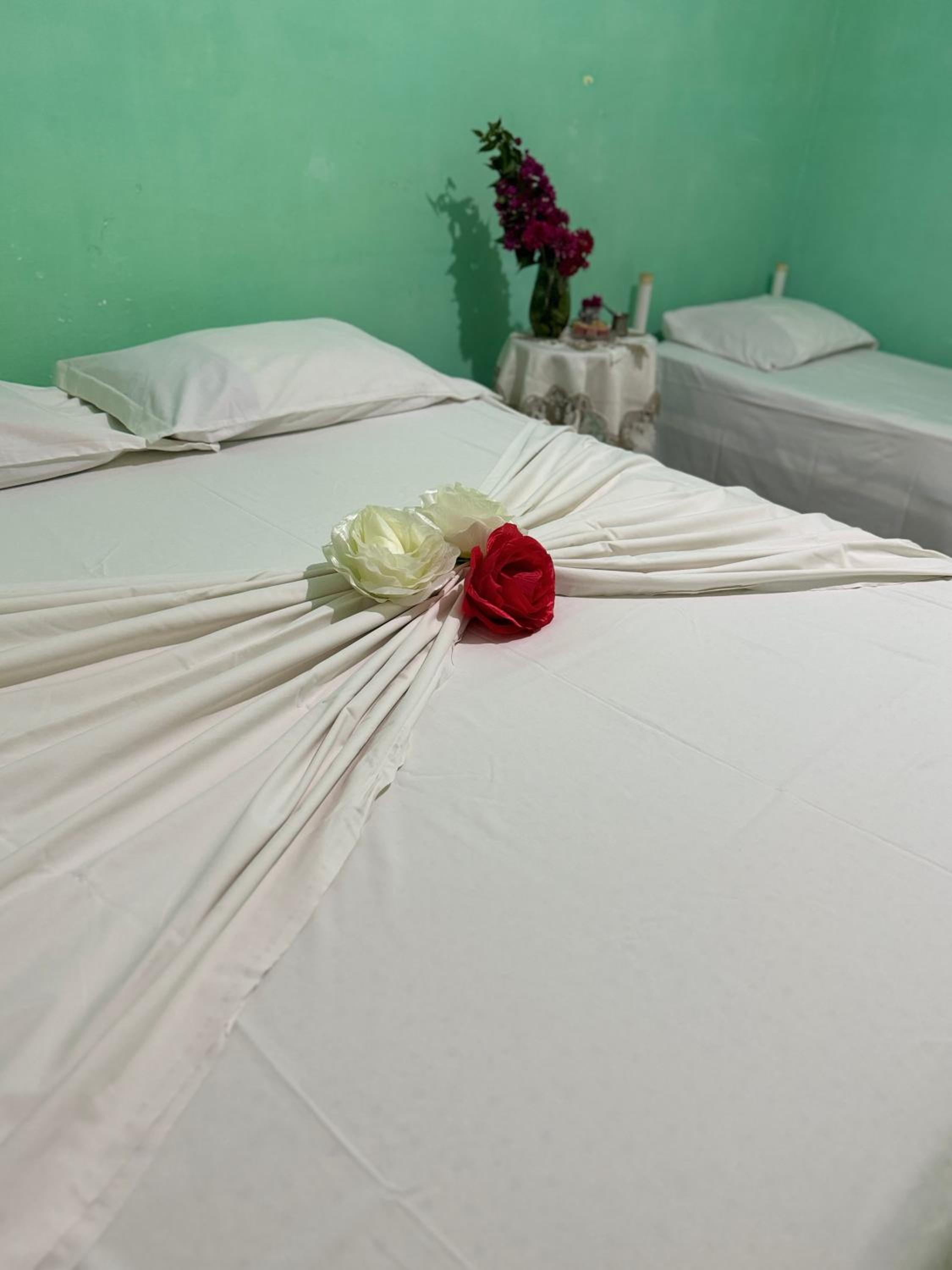 Bushi Rooms