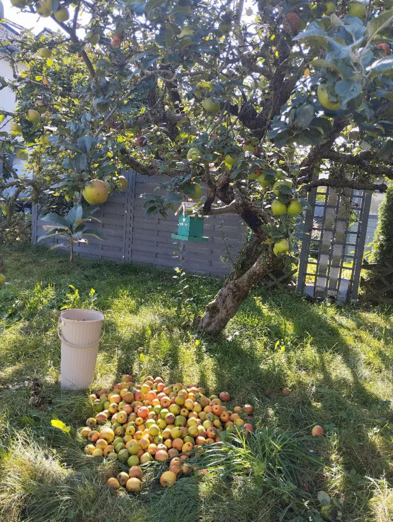 Traumhaftes Ferienhaus mit zwei Einheiten fur bis zu 10 Personen - Property Image 6