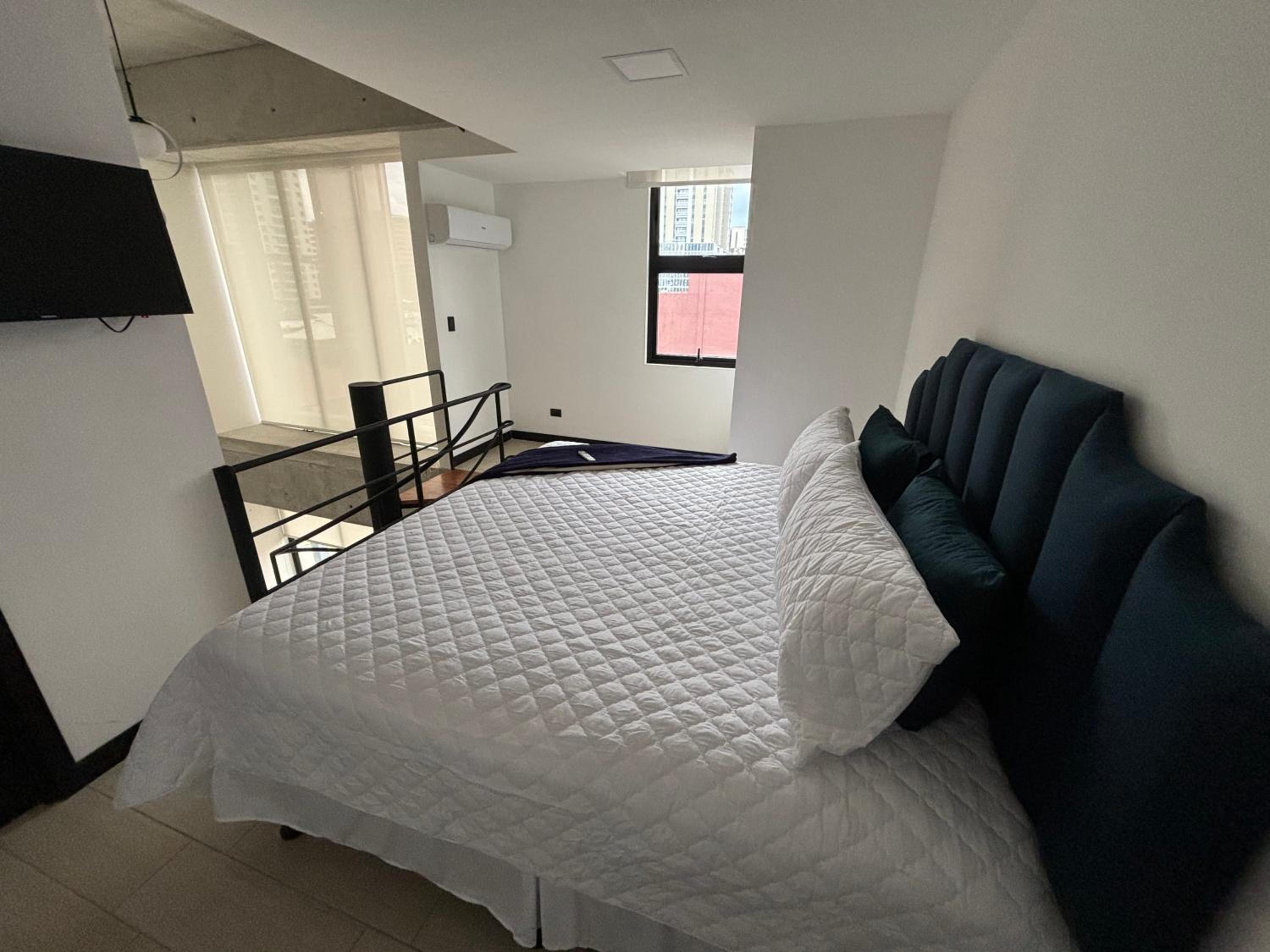 EON-Clarion Suite view 4