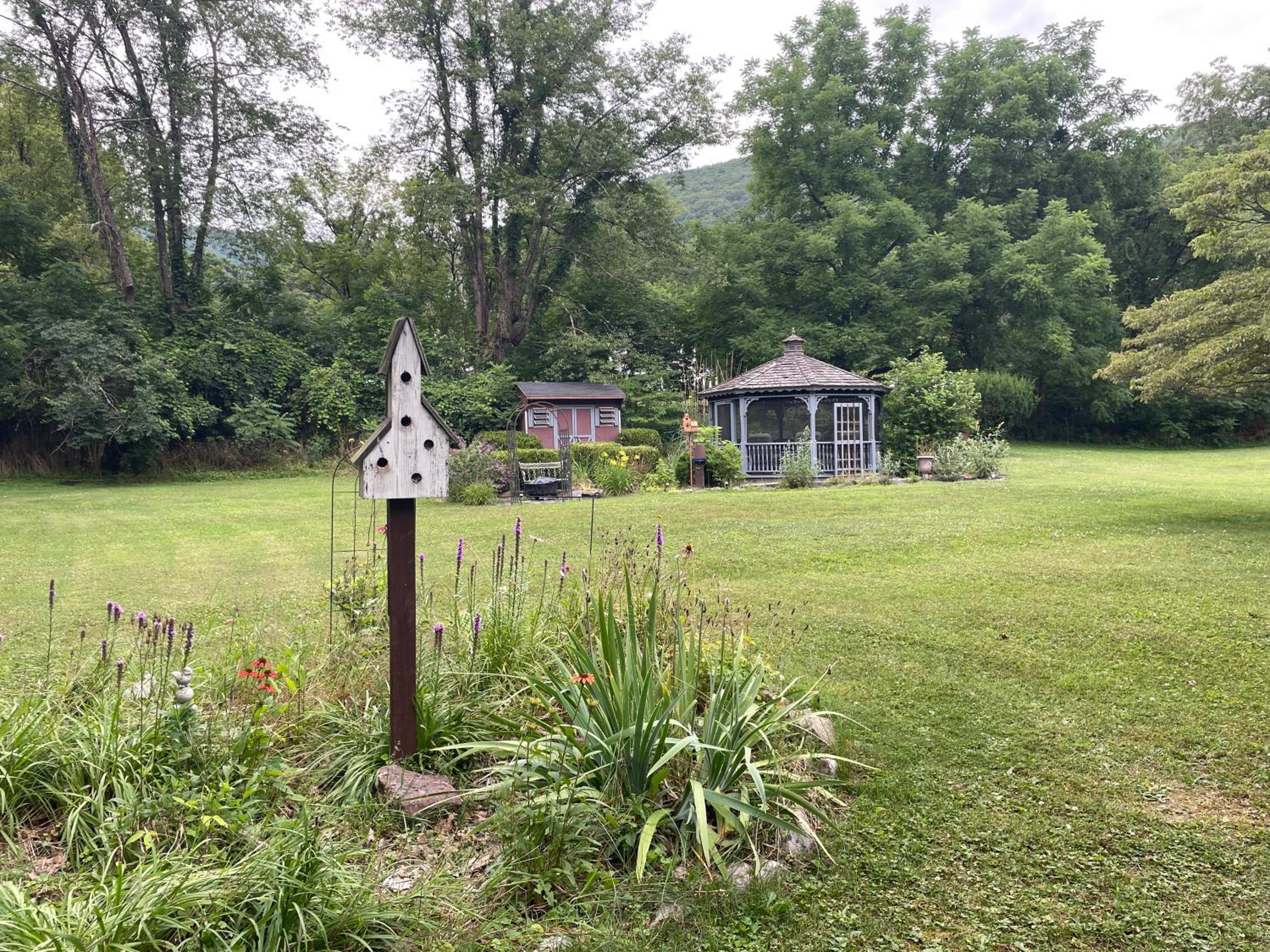 Bluebird Hollow