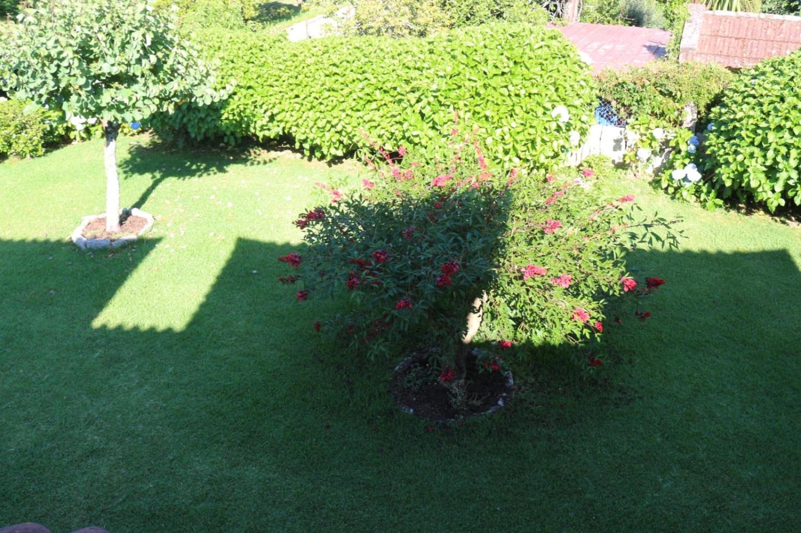Chalet con piscina