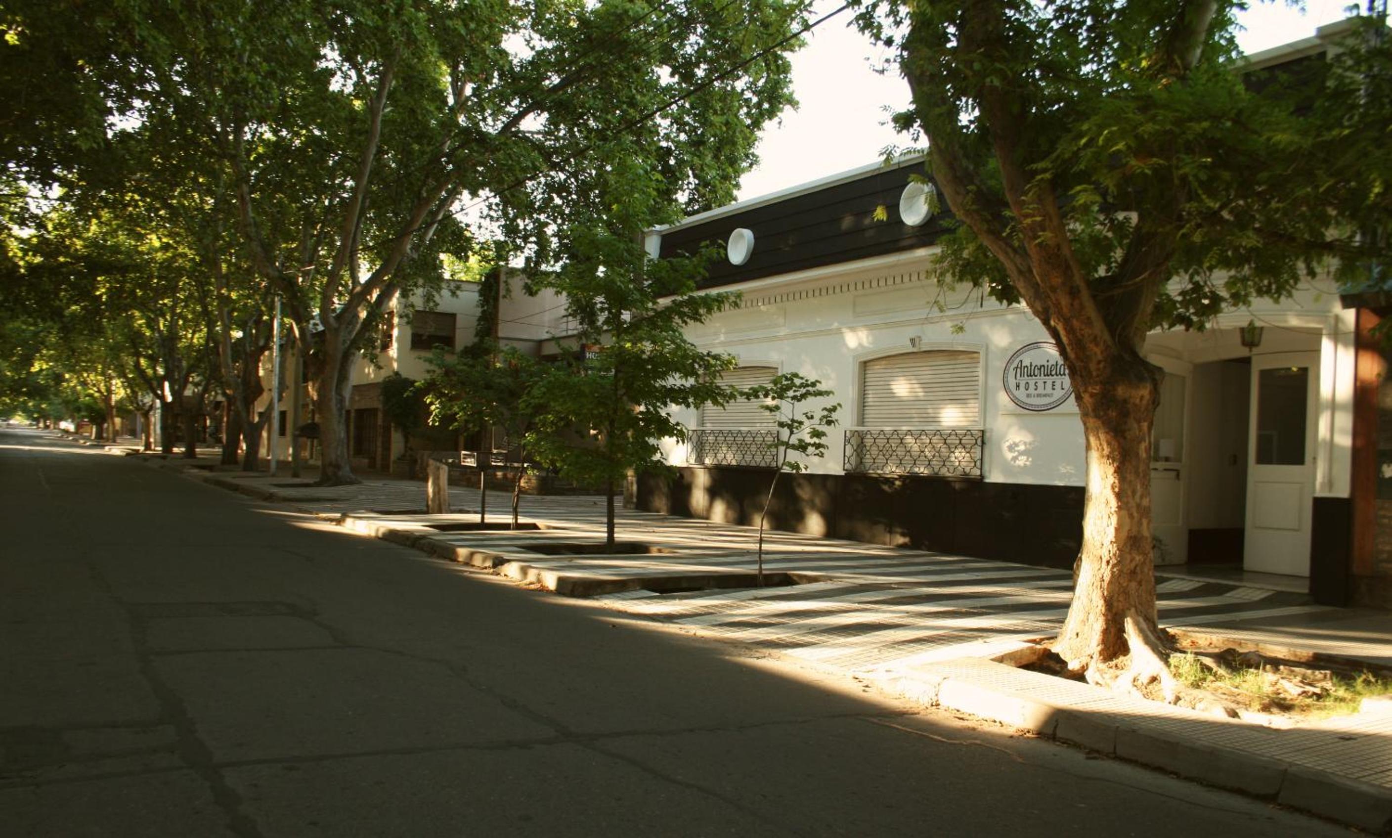 Antonieta Hostel