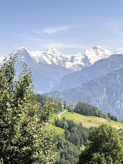 Chalet AlpinLux in Beatenberg