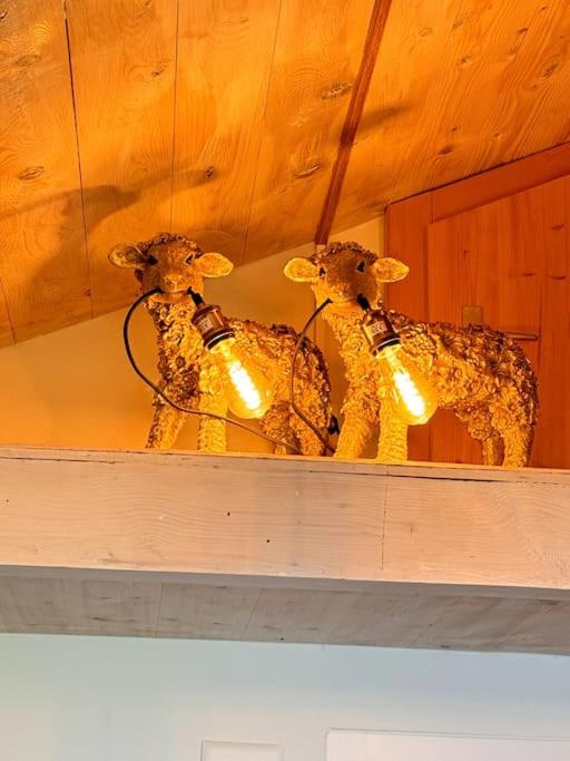 Chalet AlpinLux in Beatenberg