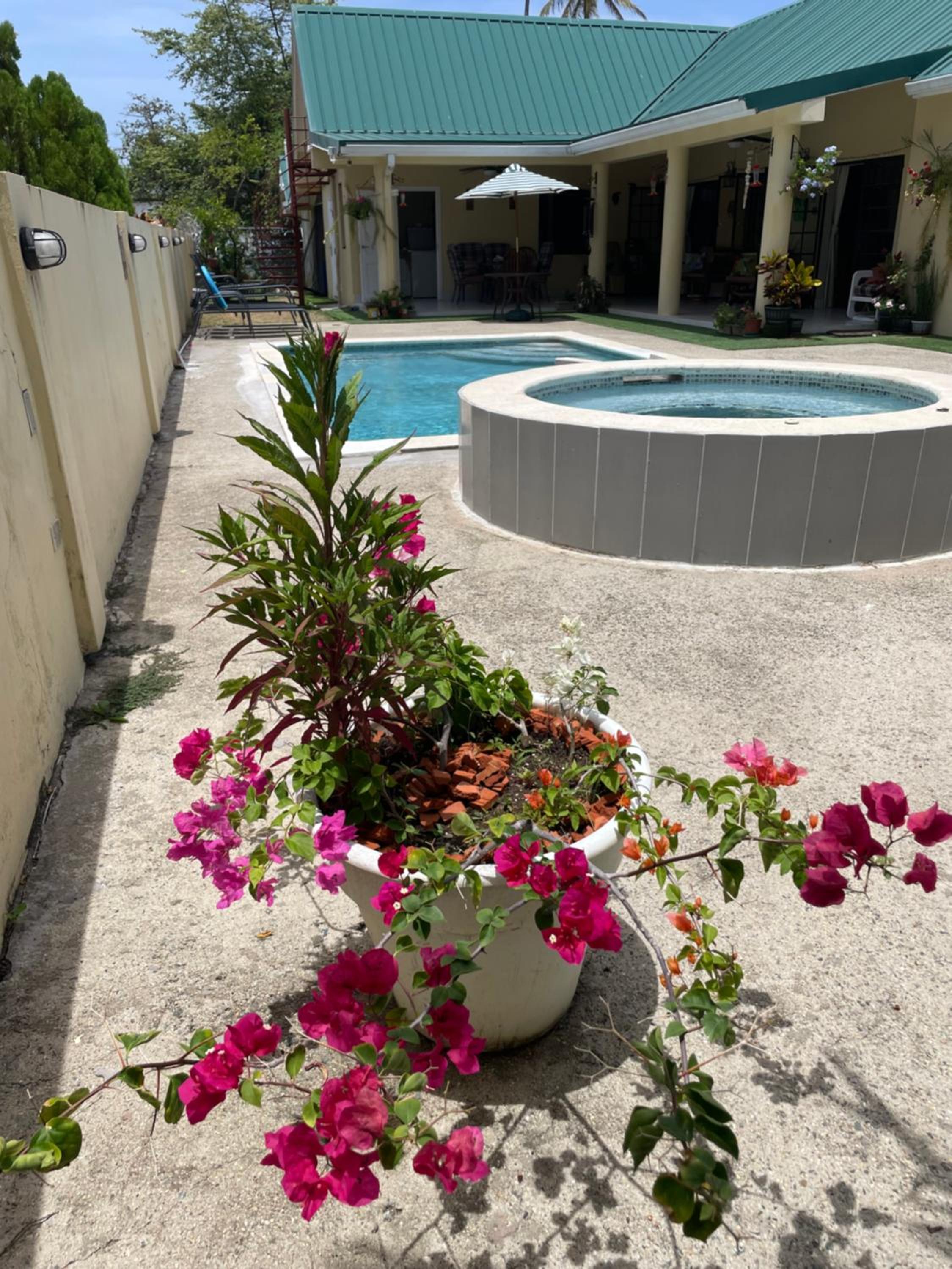 Bon accord Hummingbird Hideaway
