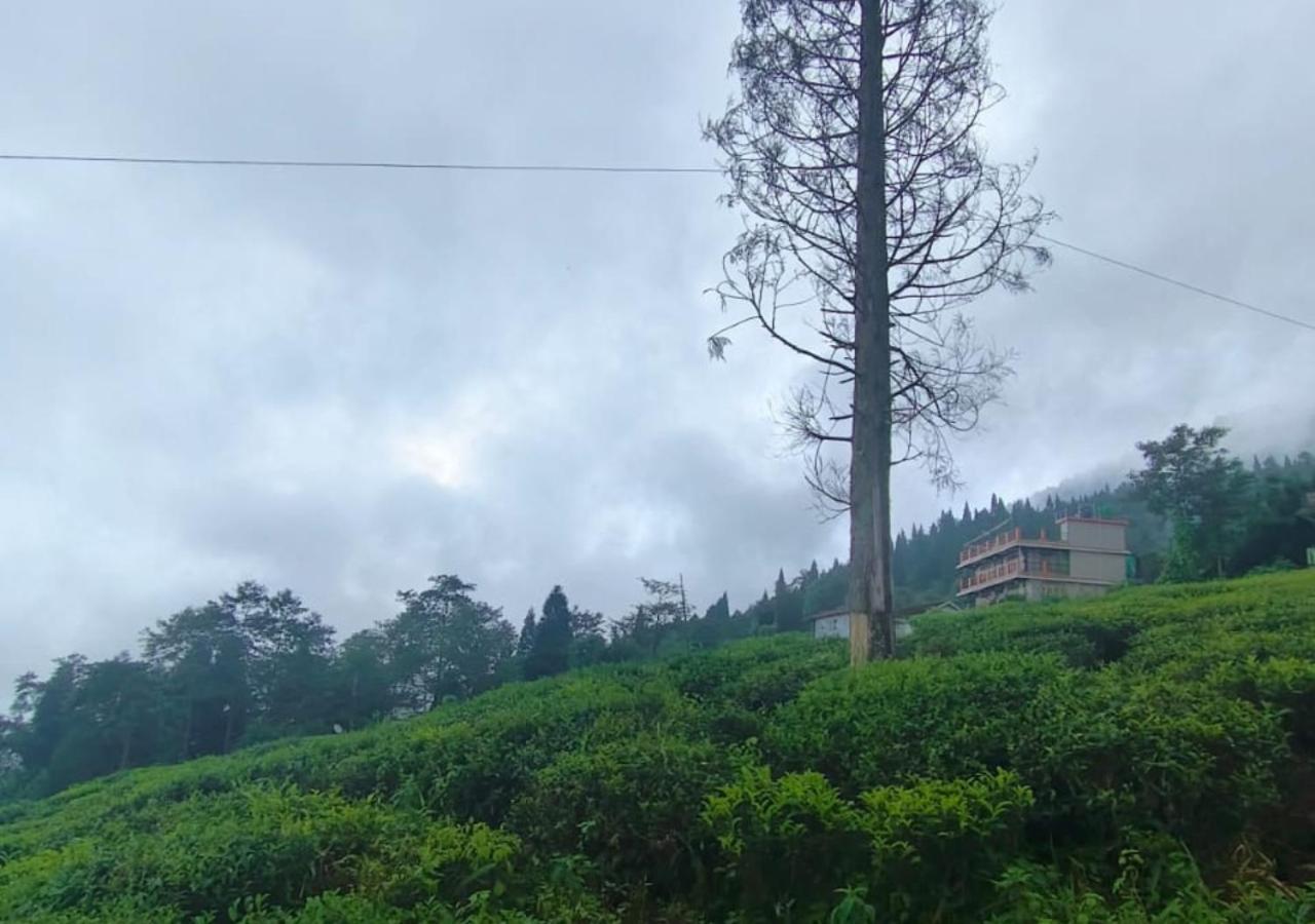 Surya Homestay - Rural Tea Garden Homestay view 3