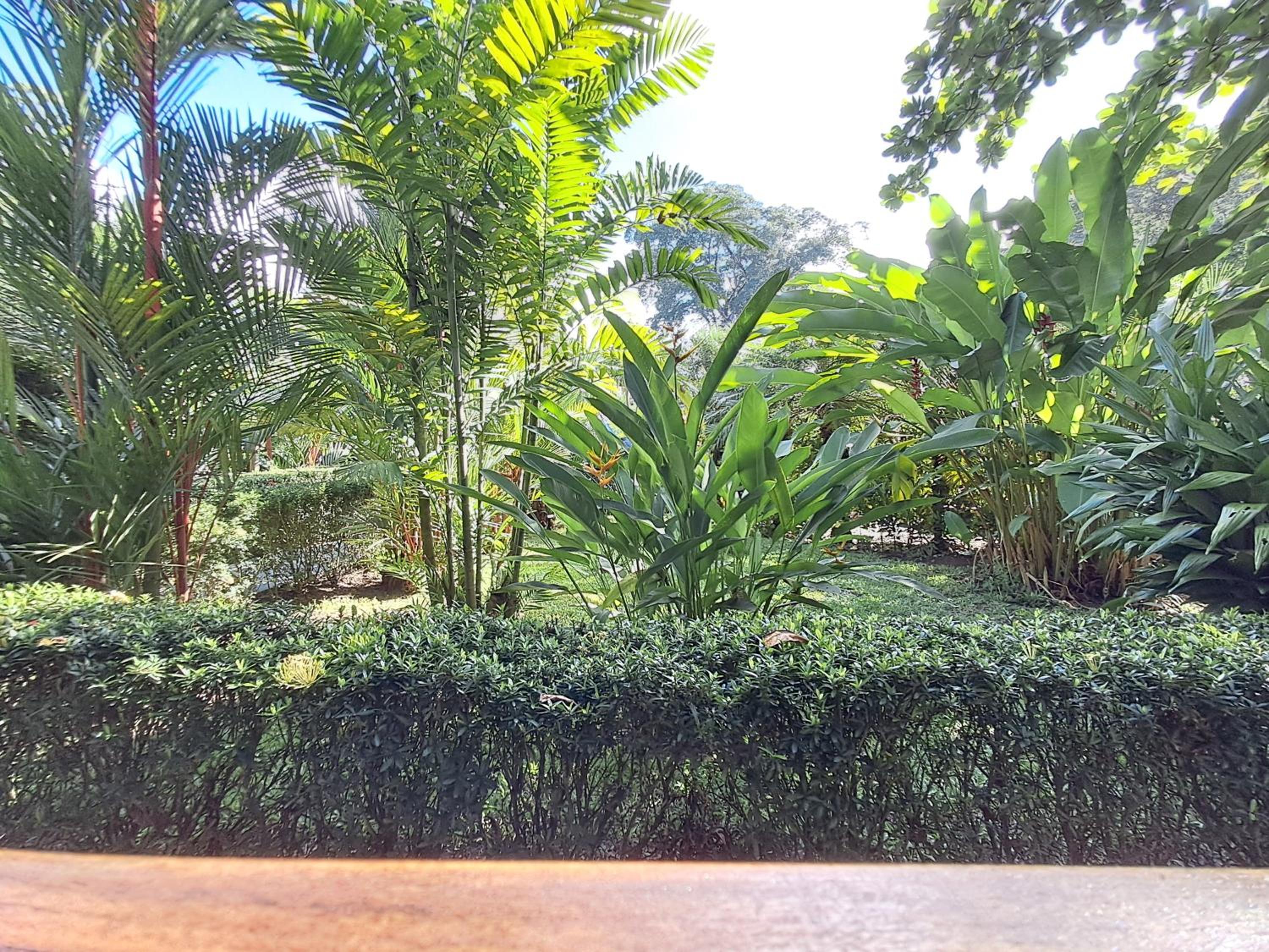 New Caribe Point