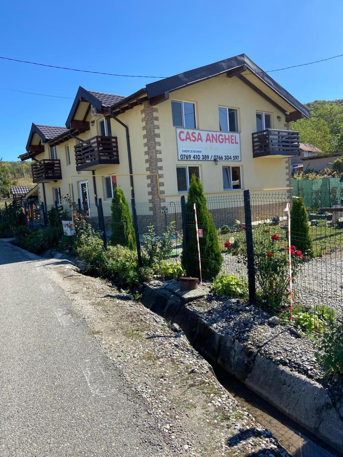 Casa Anghel Ocnele Mari view 3