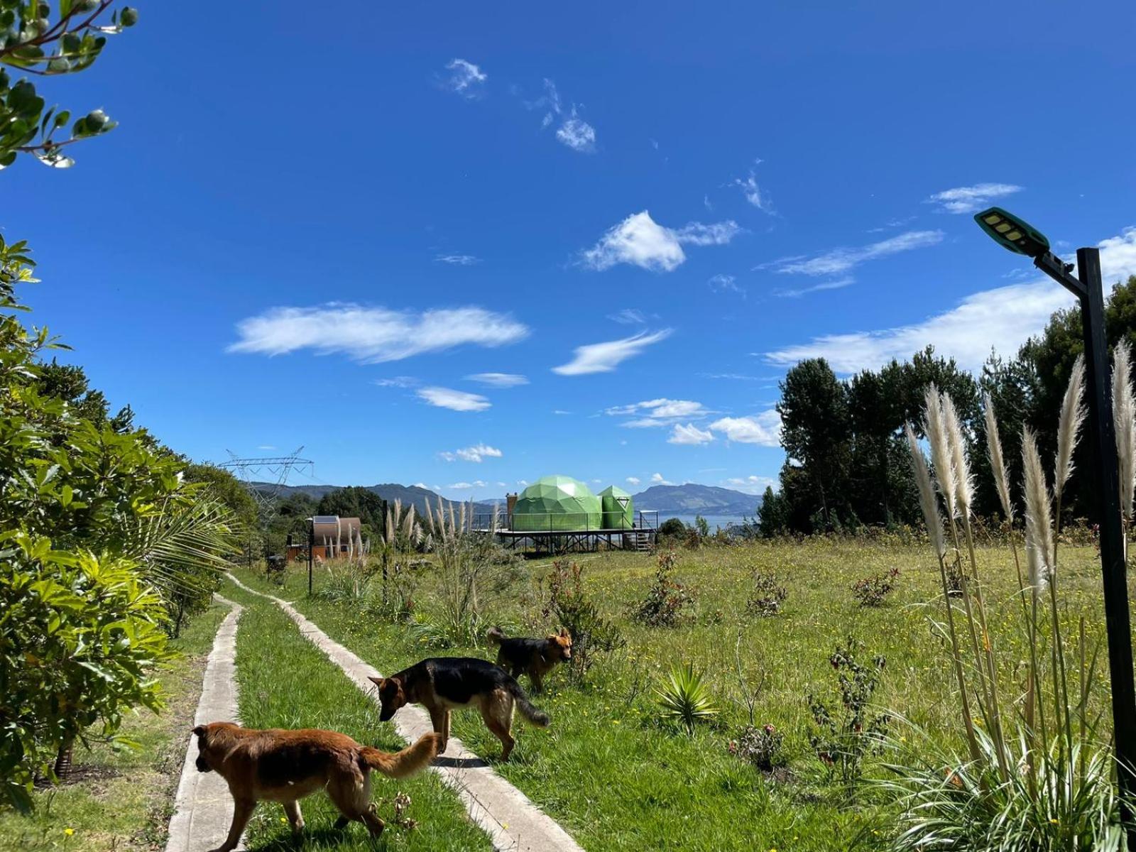 Glamping Terranova Guatavita Colombia