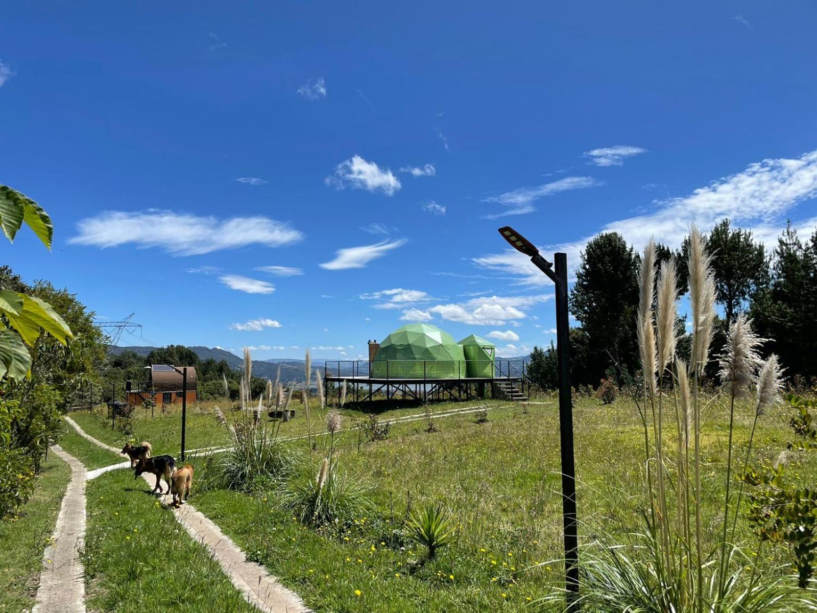 Glamping Terranova Guatavita Colombia