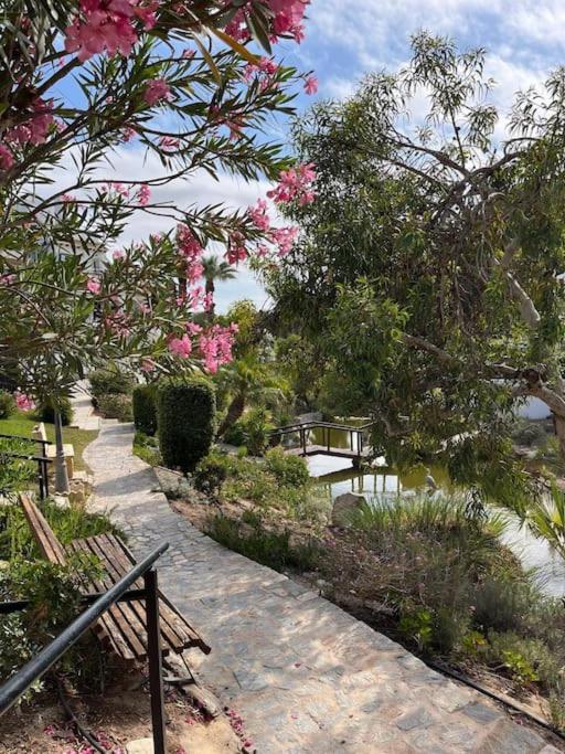 Villamartin Peaceful Oasis