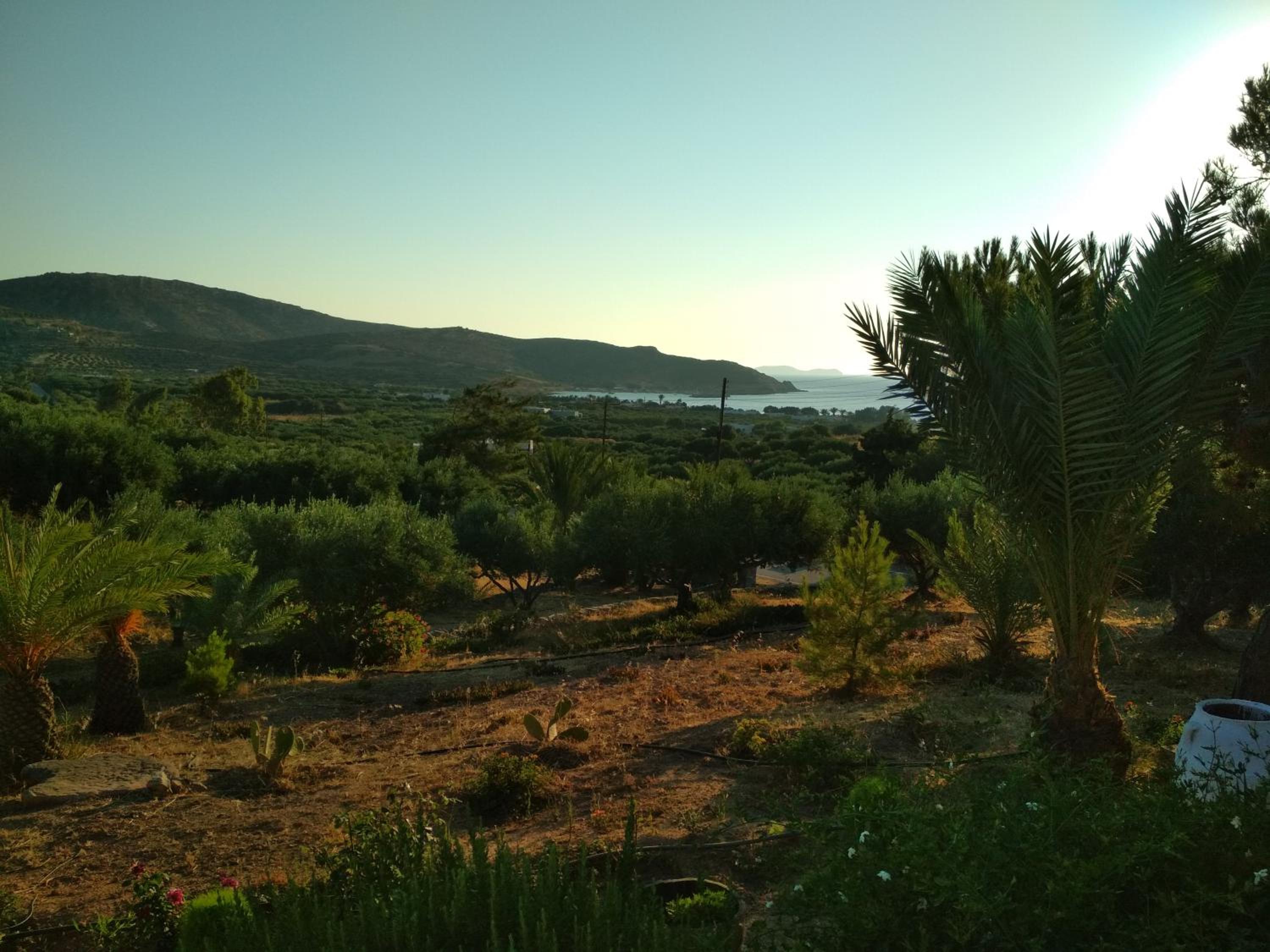 Porto Heli Apartments