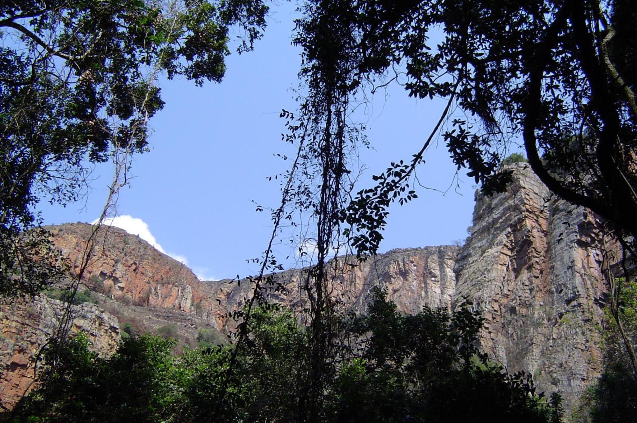 Photo 10