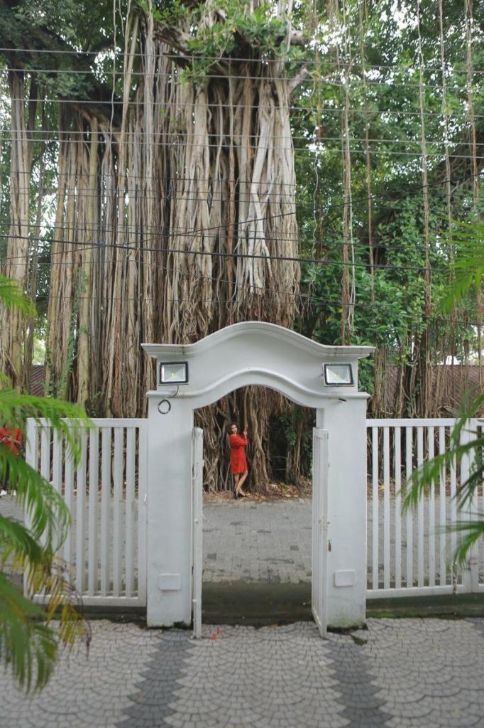 Banyan Tree Homestay