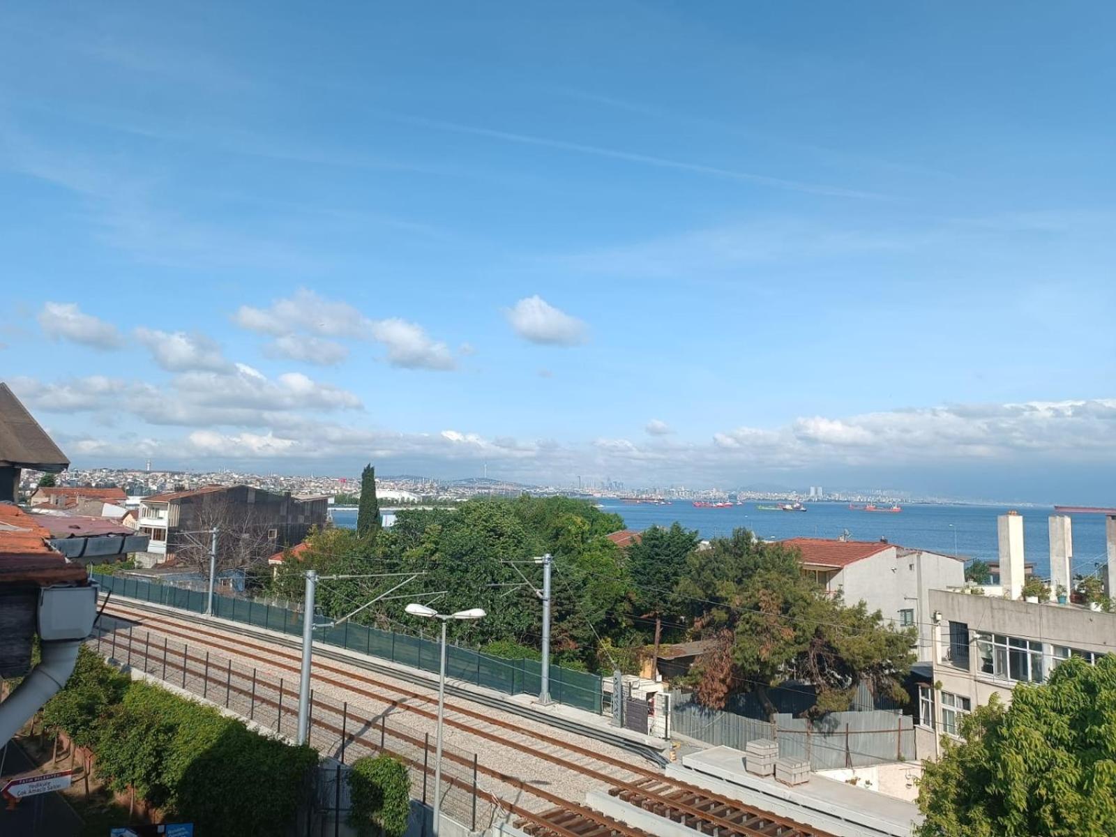 Otel şahmaran