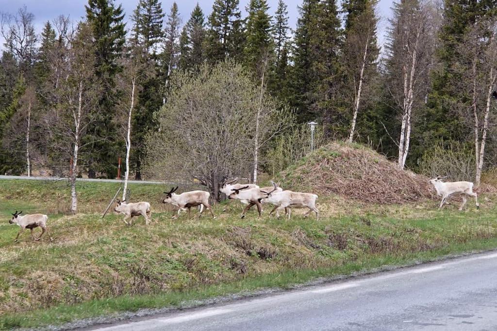 Your Swedish Retreat