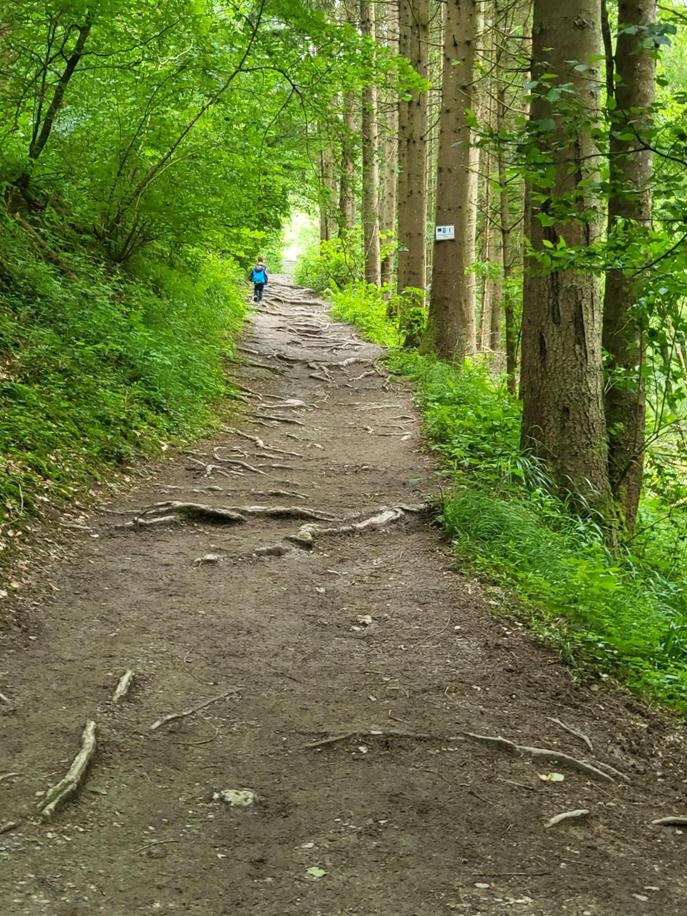 Ferienwohnung-Mosel-Hunsrueck