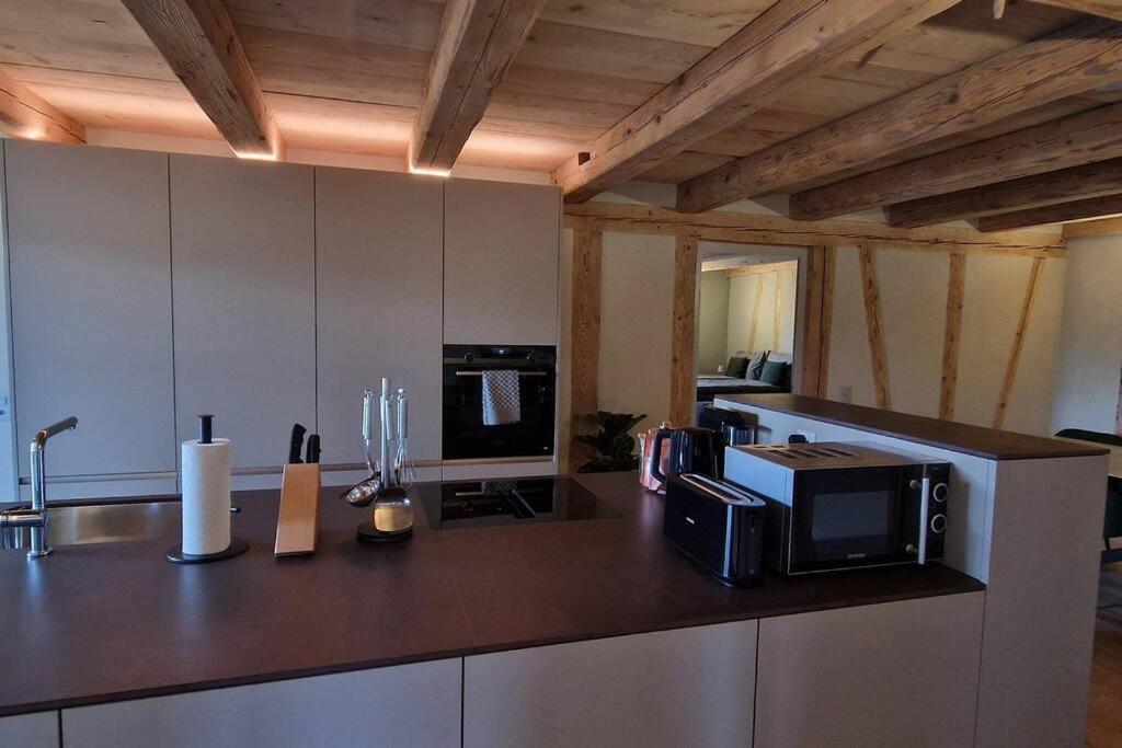 Visionary Hospitality Bassersdorf, Zürich - Premium Apartments in Swiss Style with Free Parking, Washer, Kitchen, Terrace, Vaulted Cellar Event Room, Bus S