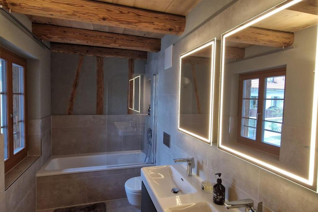 Visionary Hospitality Bassersdorf, Zürich - Premium Apartments in Swiss Style with Free Parking, Washer, Kitchen, Terrace, Vaulted Cellar Event Room, Bus S