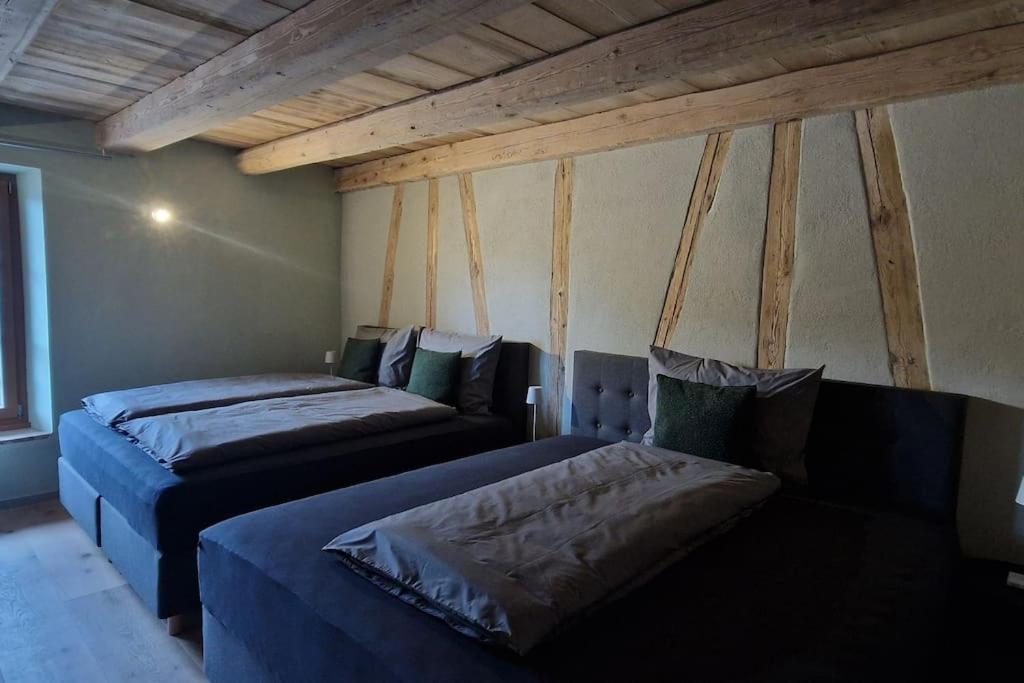 Visionary Hospitality Bassersdorf, Zürich - Premium Apartments in Swiss Style with Free Parking, Washer, Kitchen, Terrace, Vaulted Cellar Event Room, Bus S