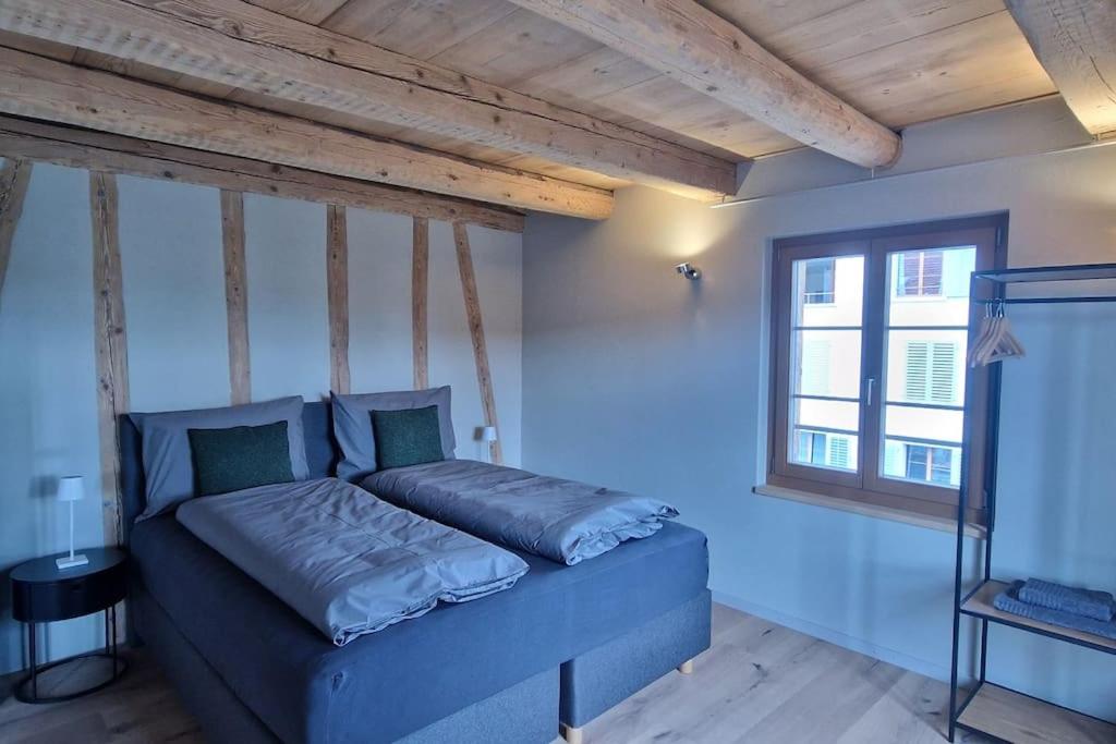 Visionary Hospitality Bassersdorf, Zürich - Premium Apartments in Swiss Style with Free Parking, Washer, Kitchen, Terrace, Vaulted Cellar Event Room, Bus S