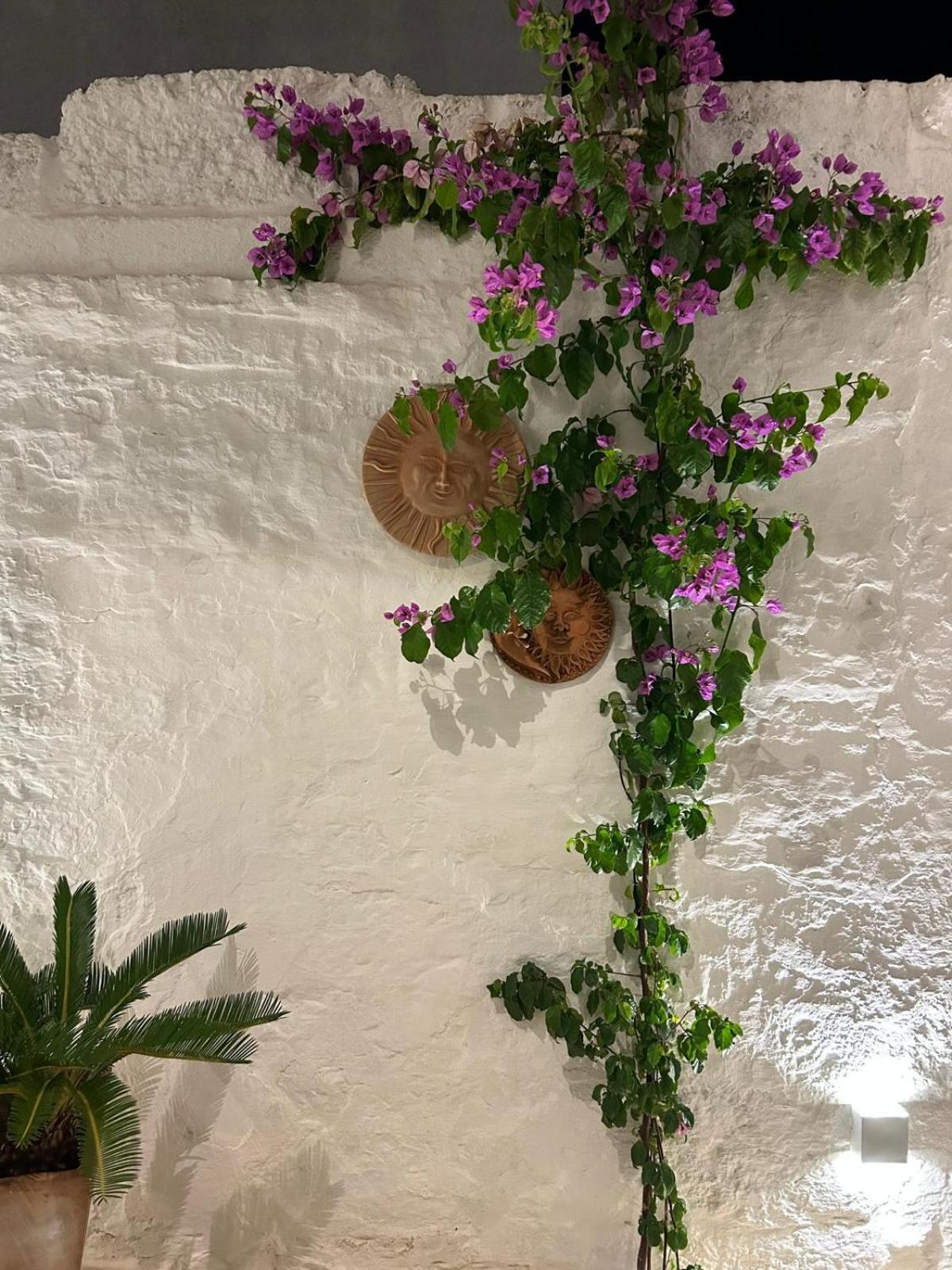 Montesanto 60 Suite & Relax Alberobello view 2