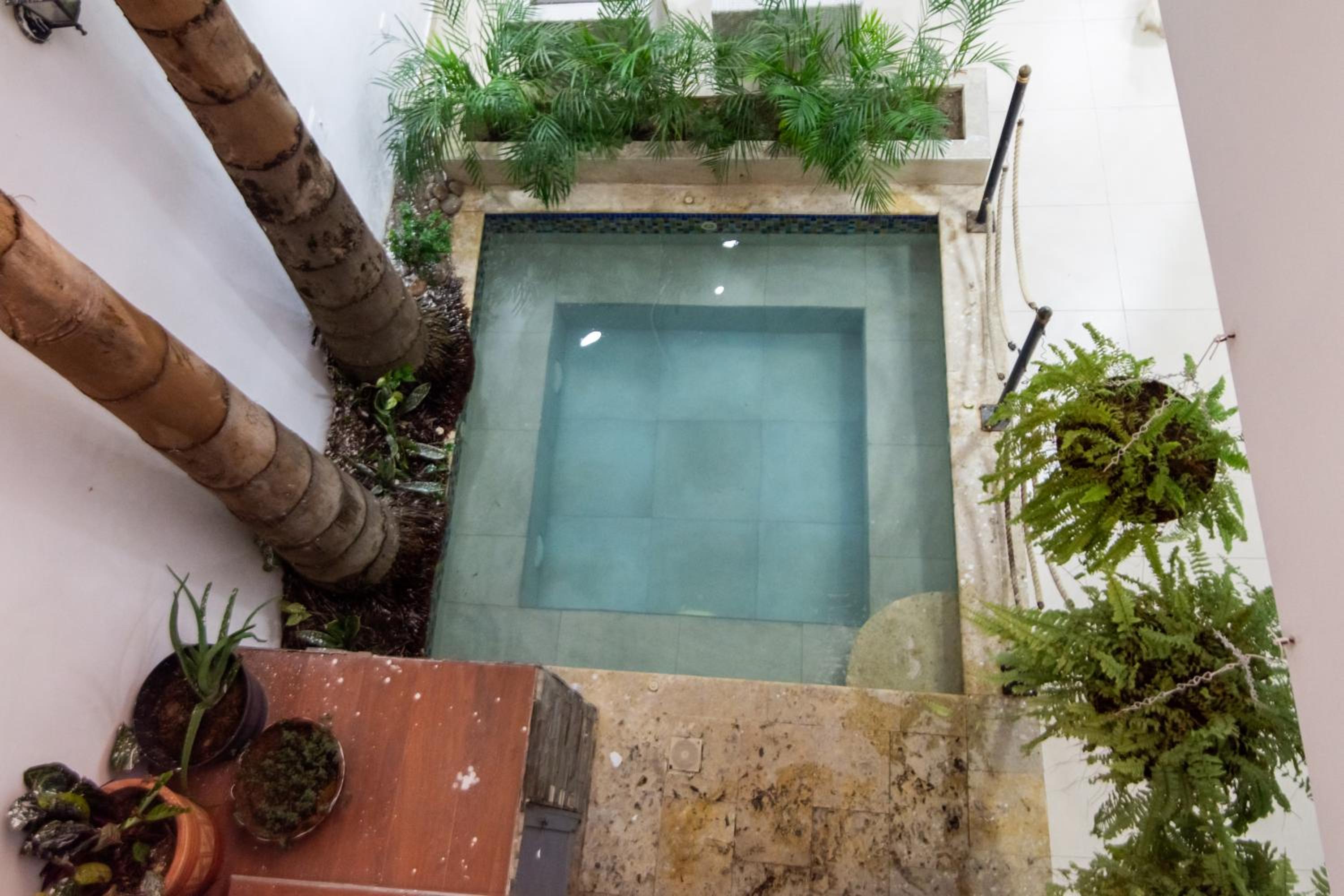 Tropical Moon Hostal Getsemaní