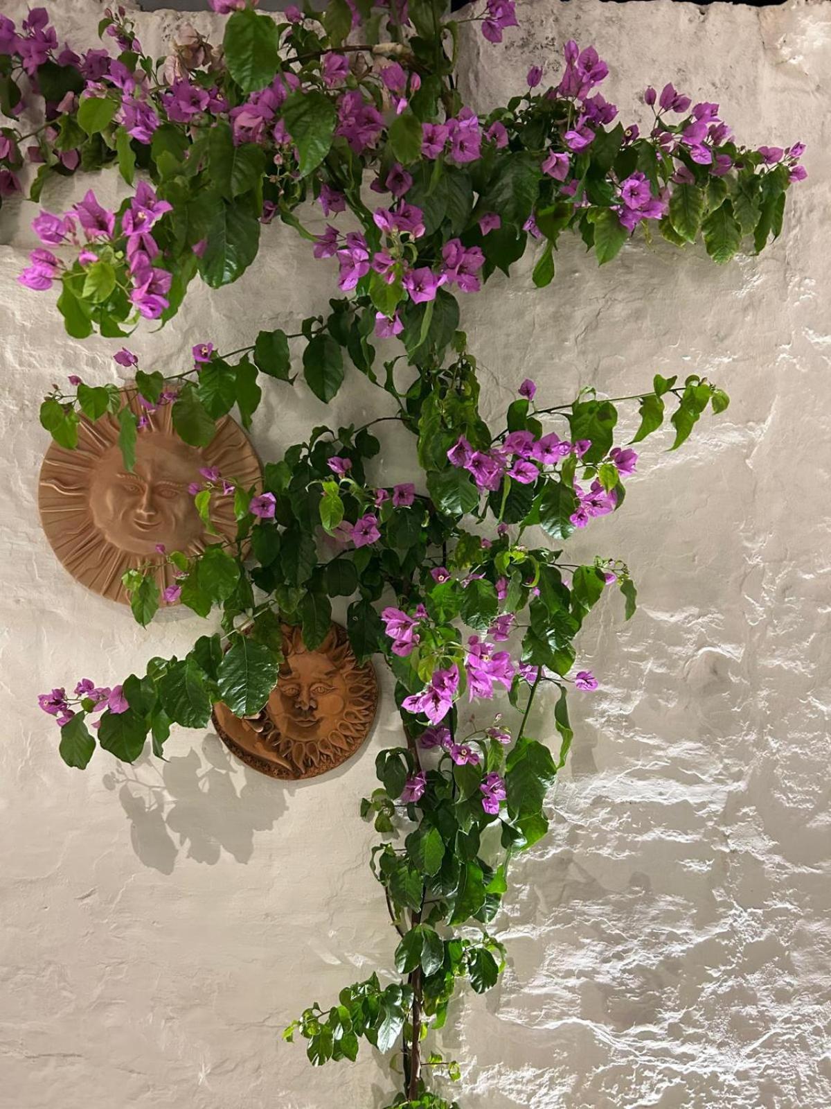 Photo 33