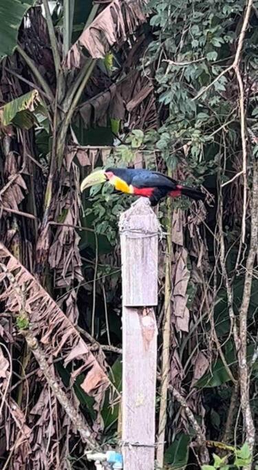 Refugio Jabuticaba, CASA DO TOPO - Romantismo sob o ceu estrelado