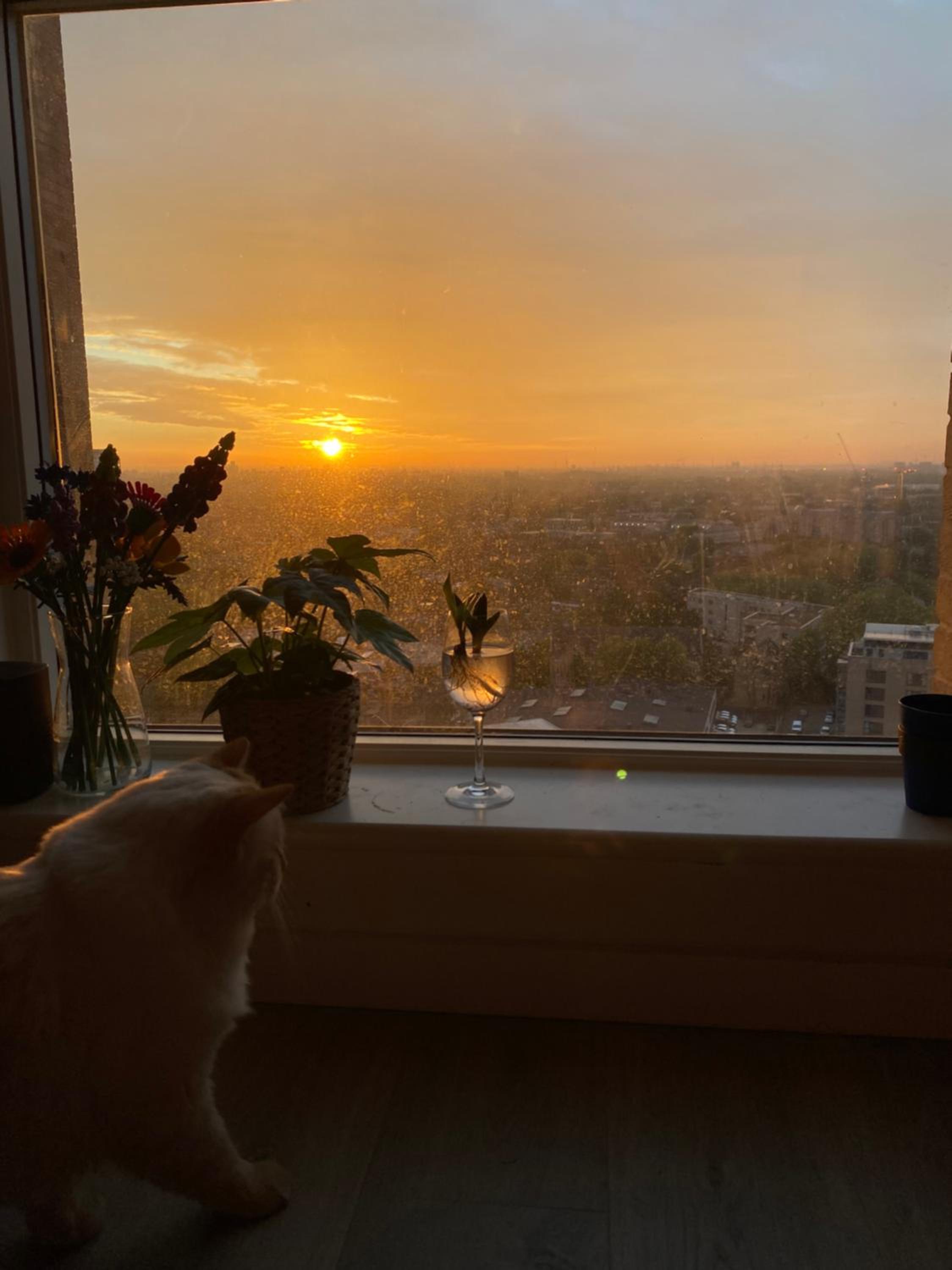 Cozy Flat with Stunning Views