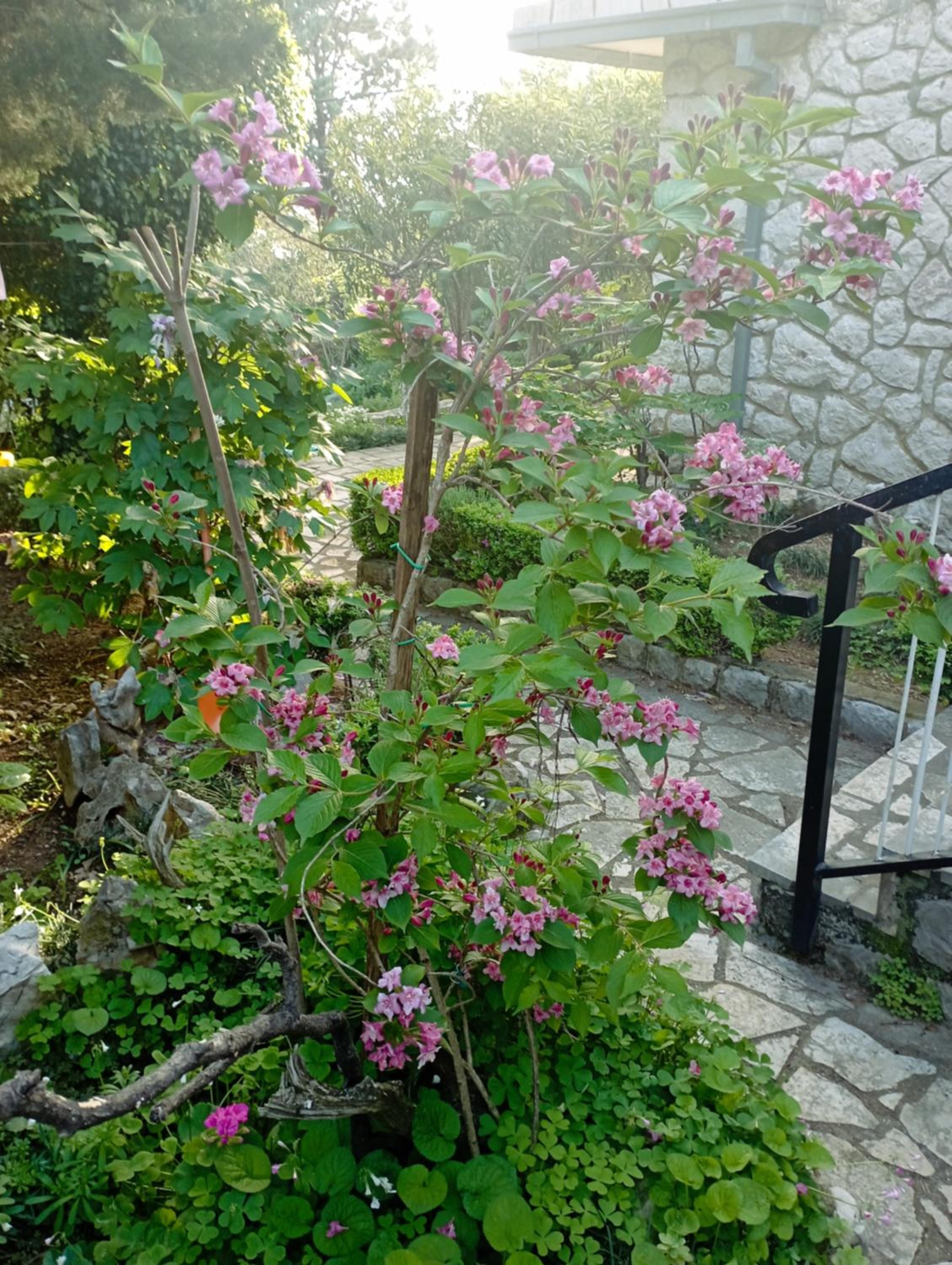 Photo 14