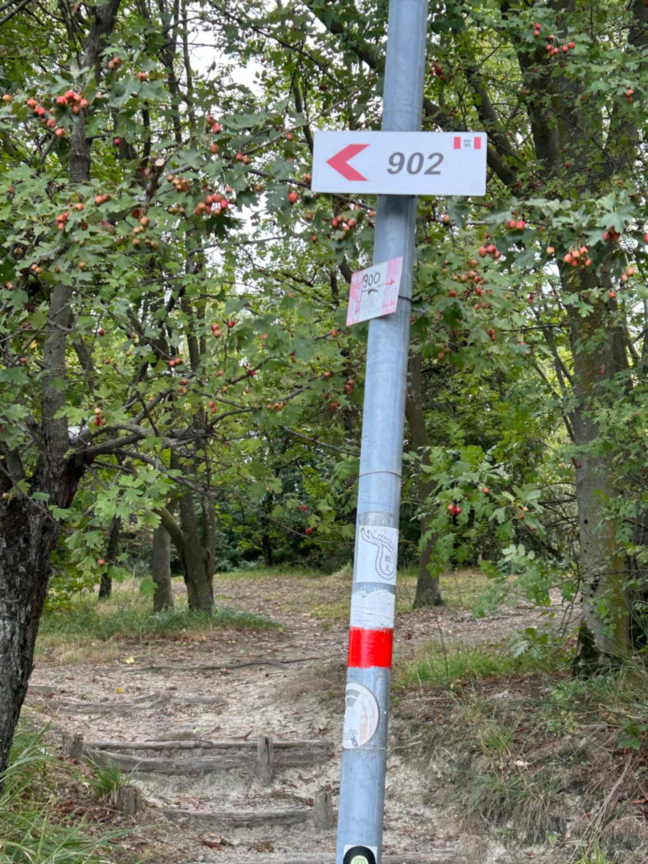 Photo 28