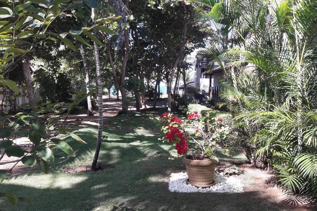 Confortável casa de praia na Bahia