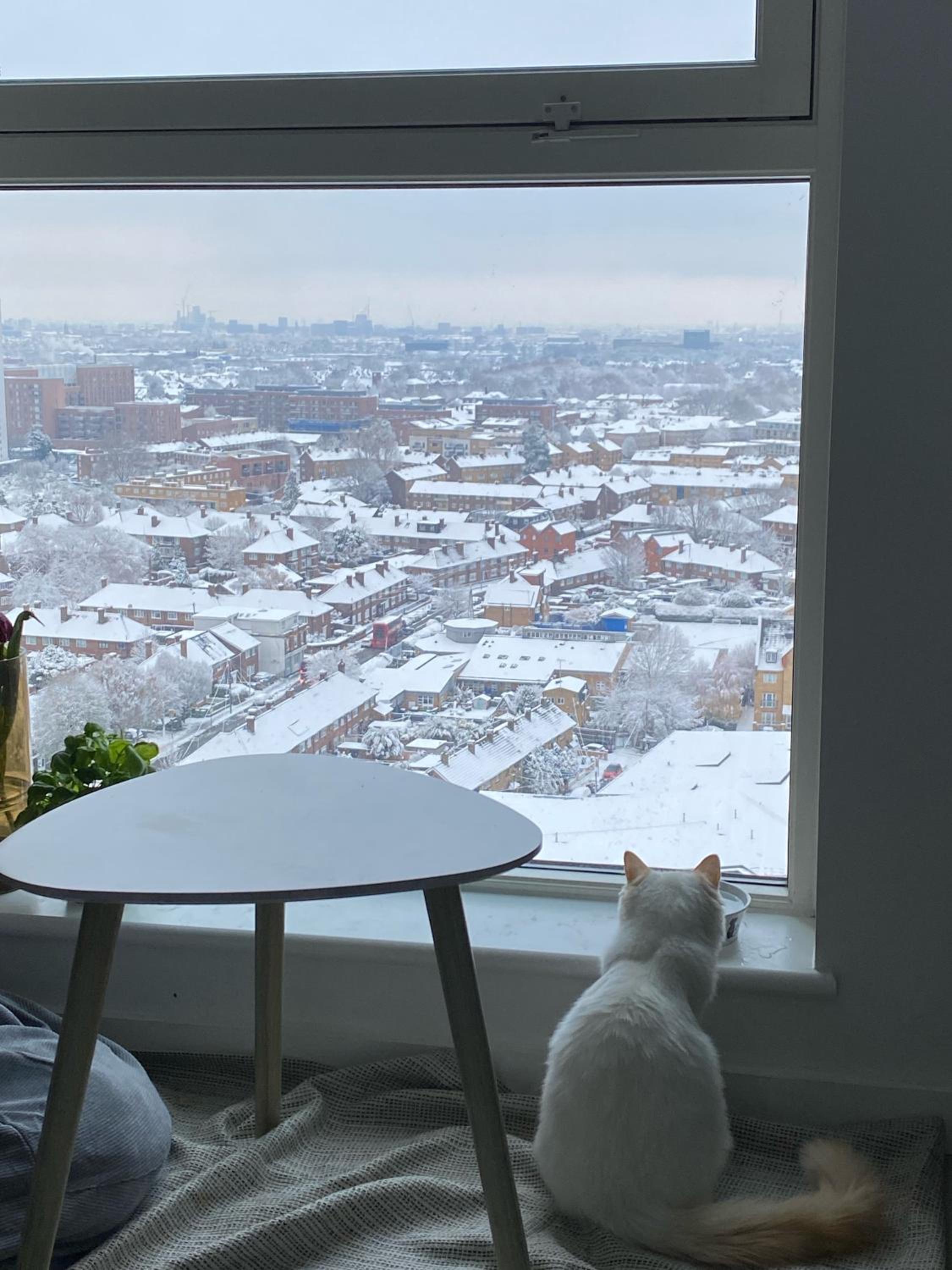 Cozy Flat with Stunning Views