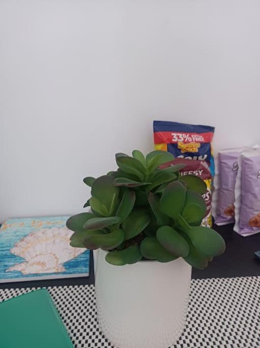 Studio apartman Msida