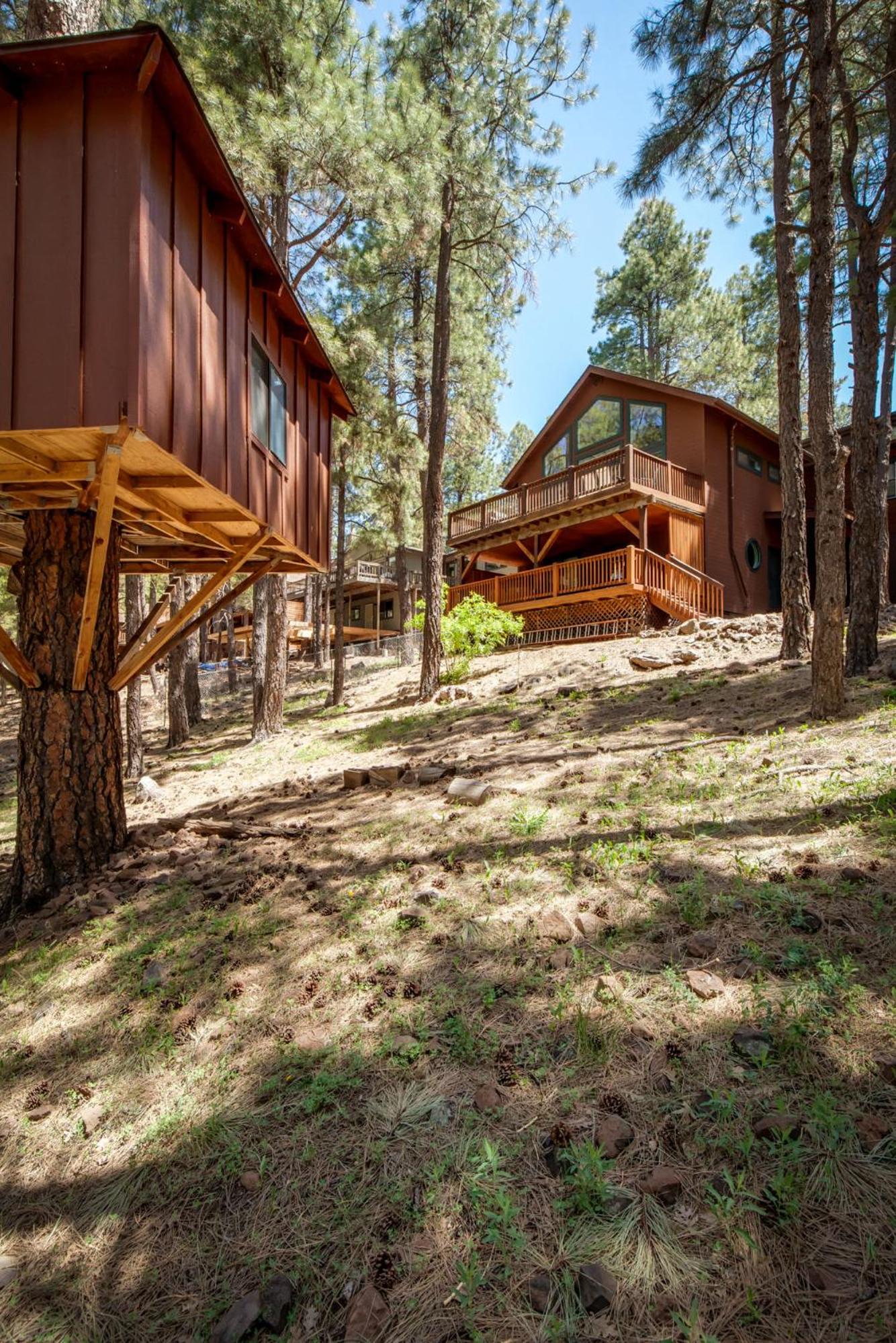 Stunning White Pines Cabin in Flagstaff view 2